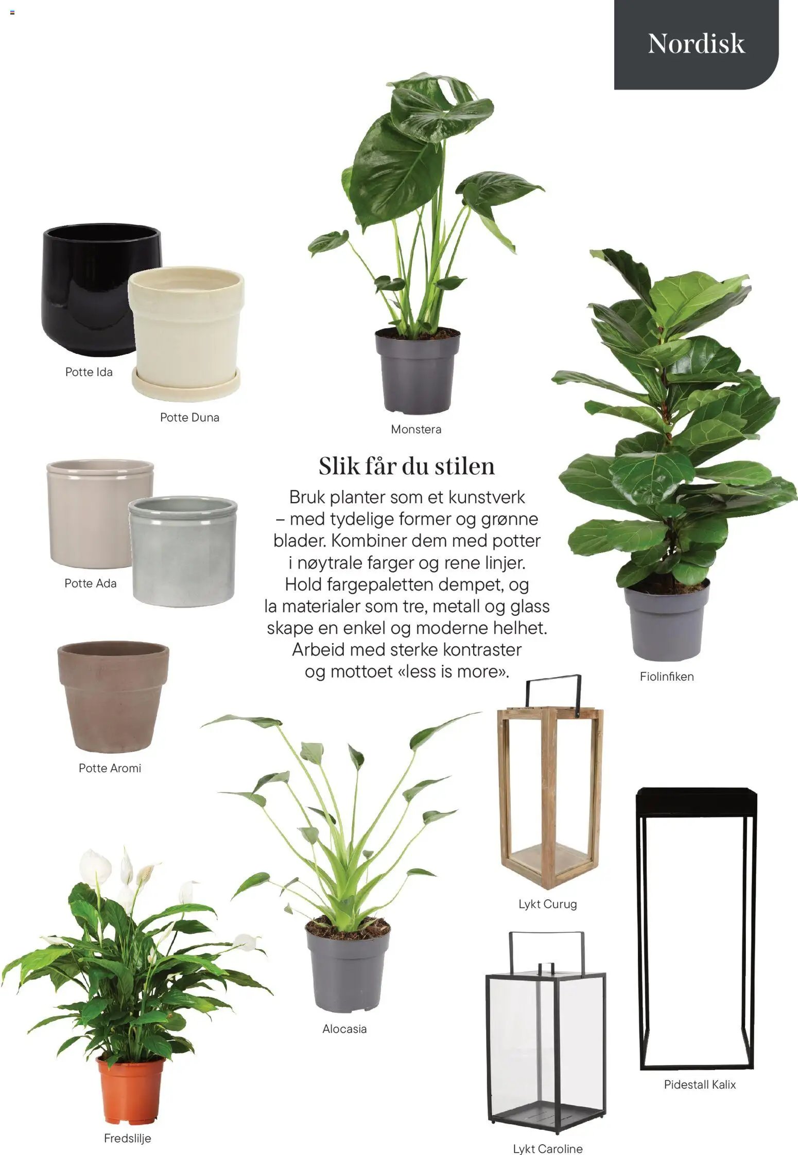 Plantasjen kundeavis (2026-01-08 - 2026-04-03)