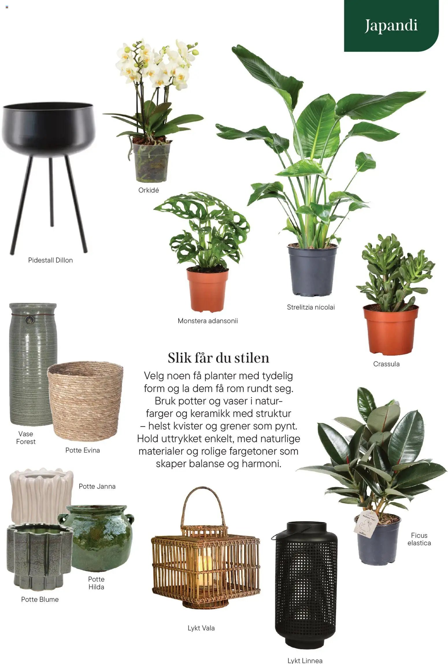 Plantasjen kundeavis (2026-01-08 - 2026-04-03)