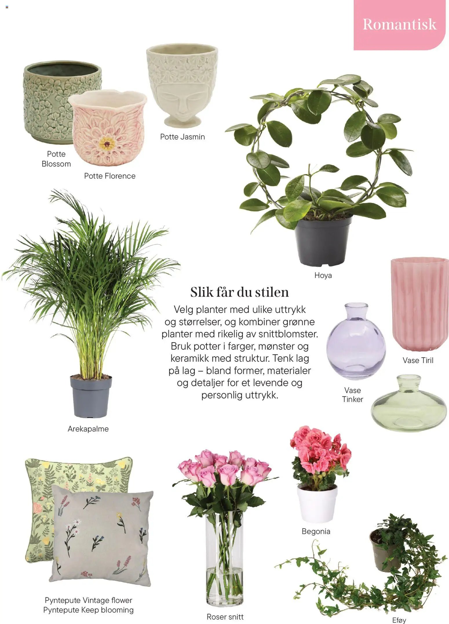 Plantasjen kundeavis (2026-01-08 - 2026-04-03)