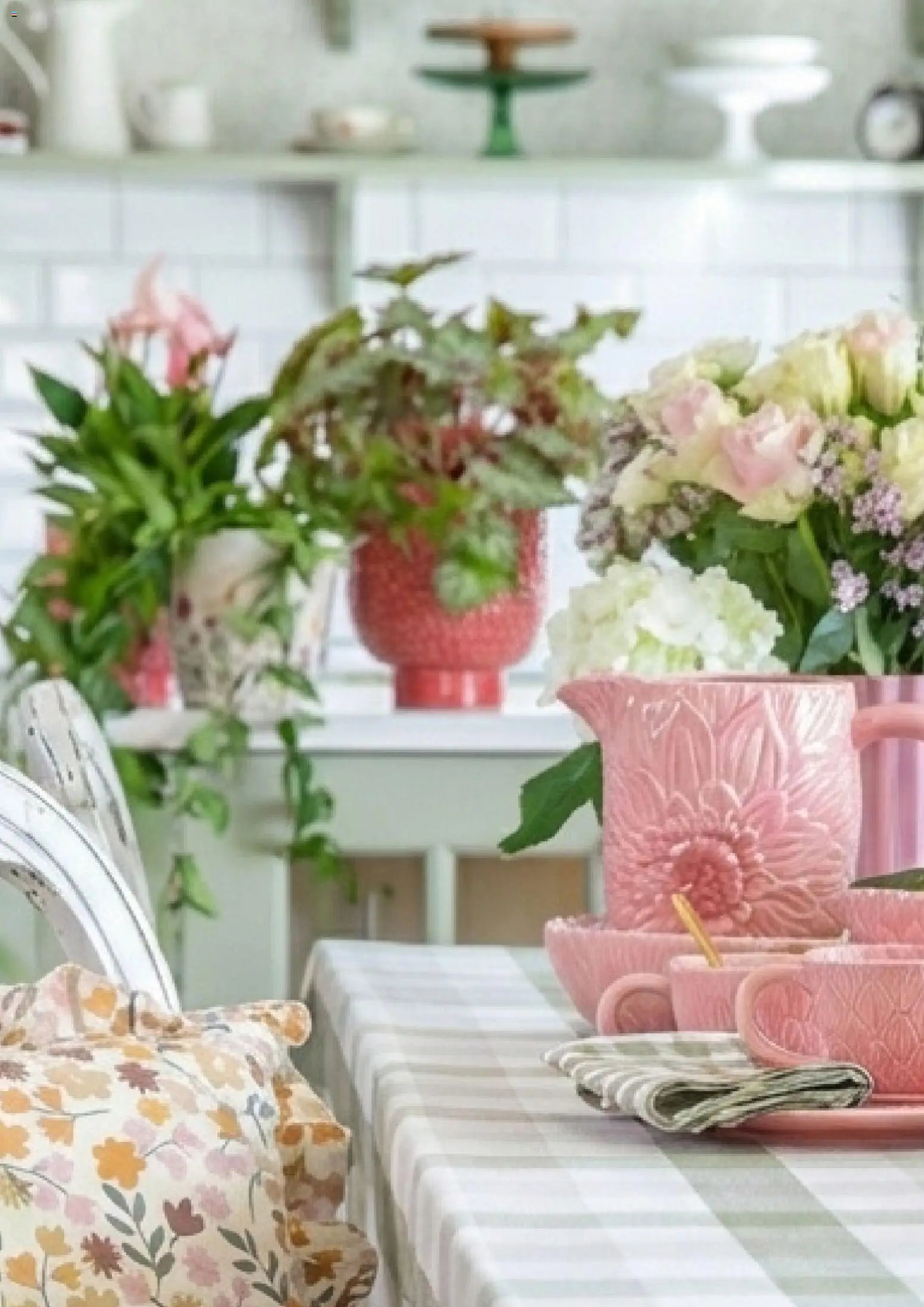 Plantasjen kundeavis (2026-01-08 - 2026-04-03)