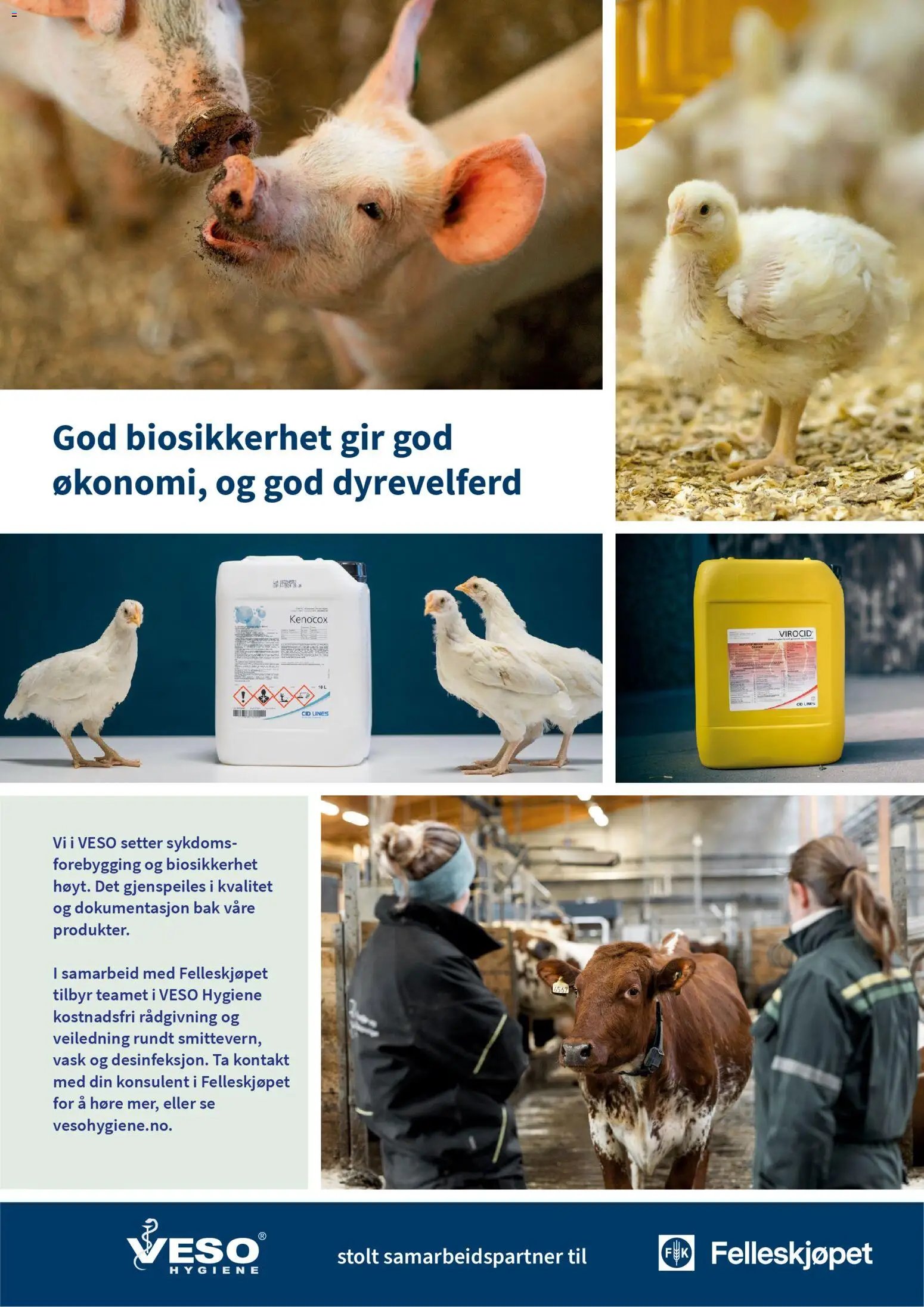 Felleskjøpet Desinfeksjonsmidler til husdyrrom (2026-01-02 - 2027-01-03)