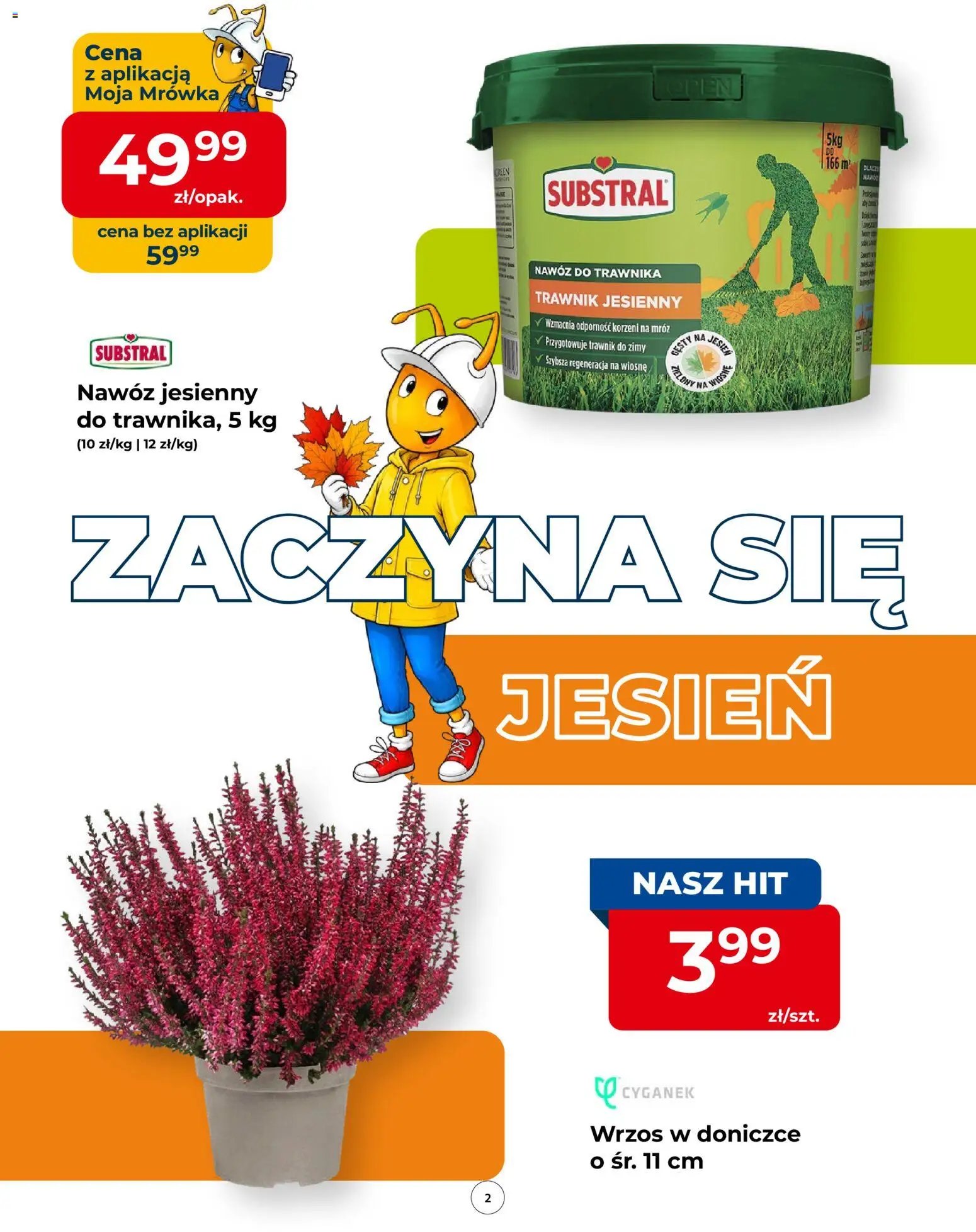Mrówka gazetka