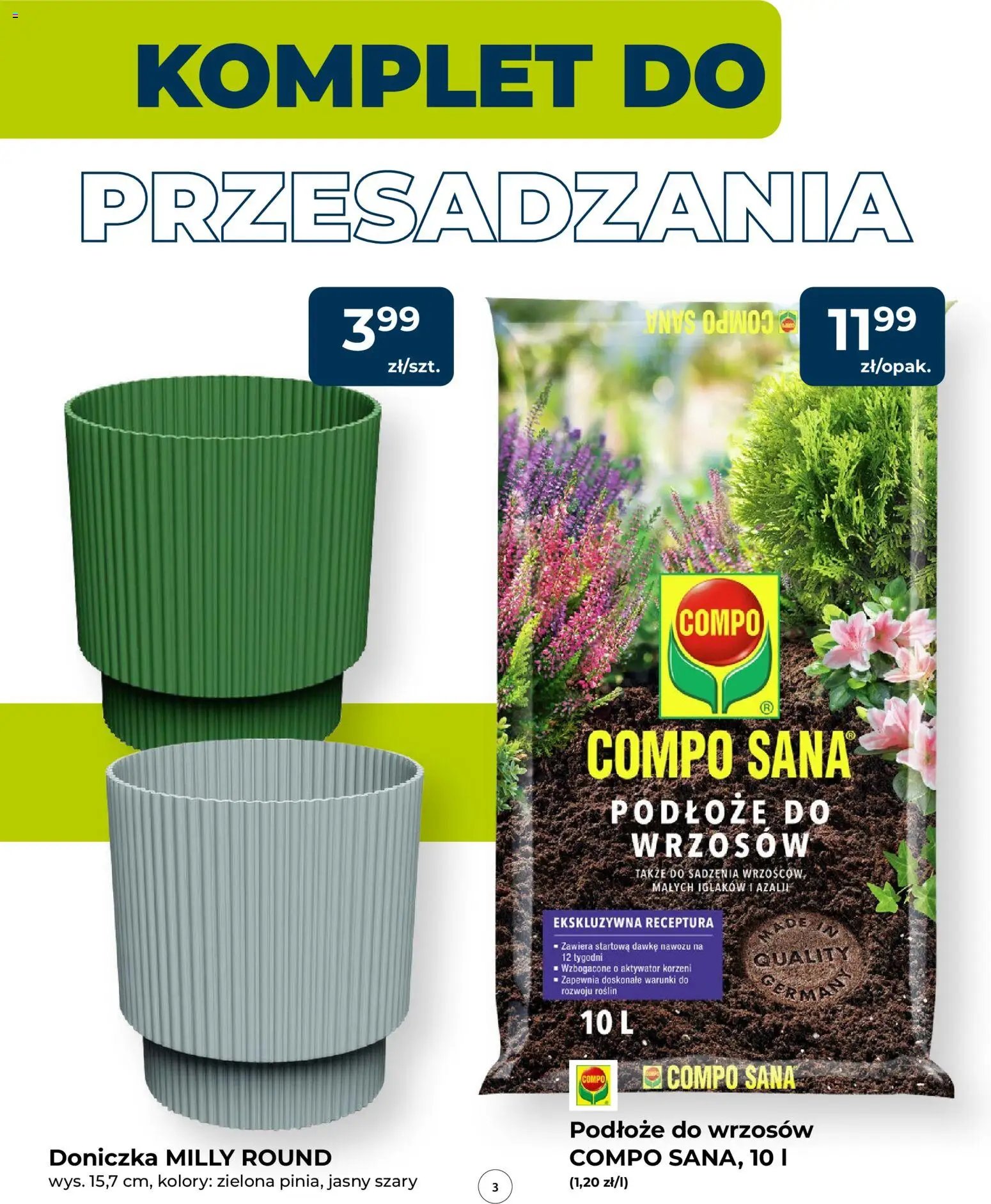 Mrówka gazetka