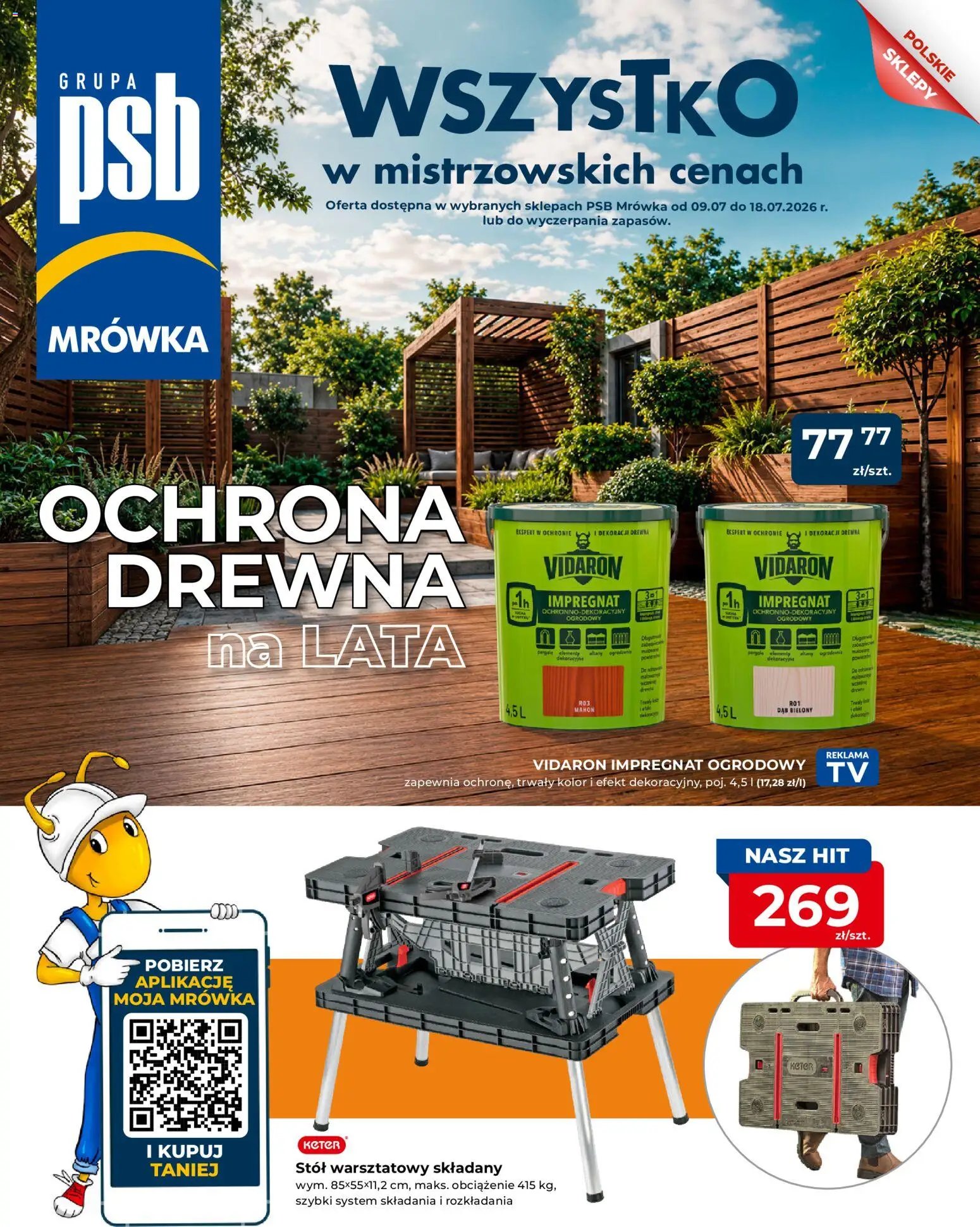 Mrówka gazetka - Rypin