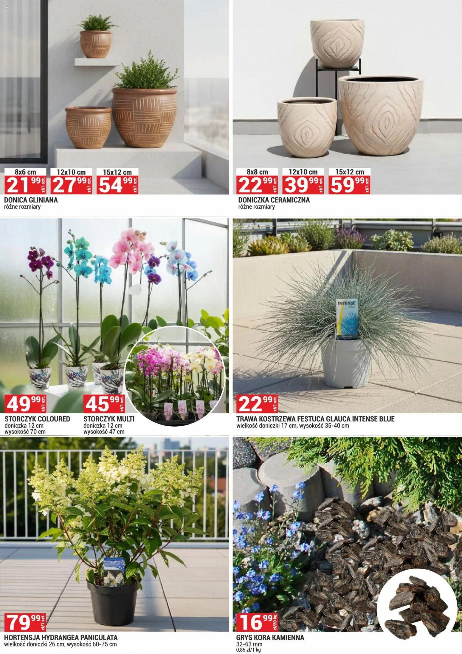 Merkury Market gazetka - Ogród