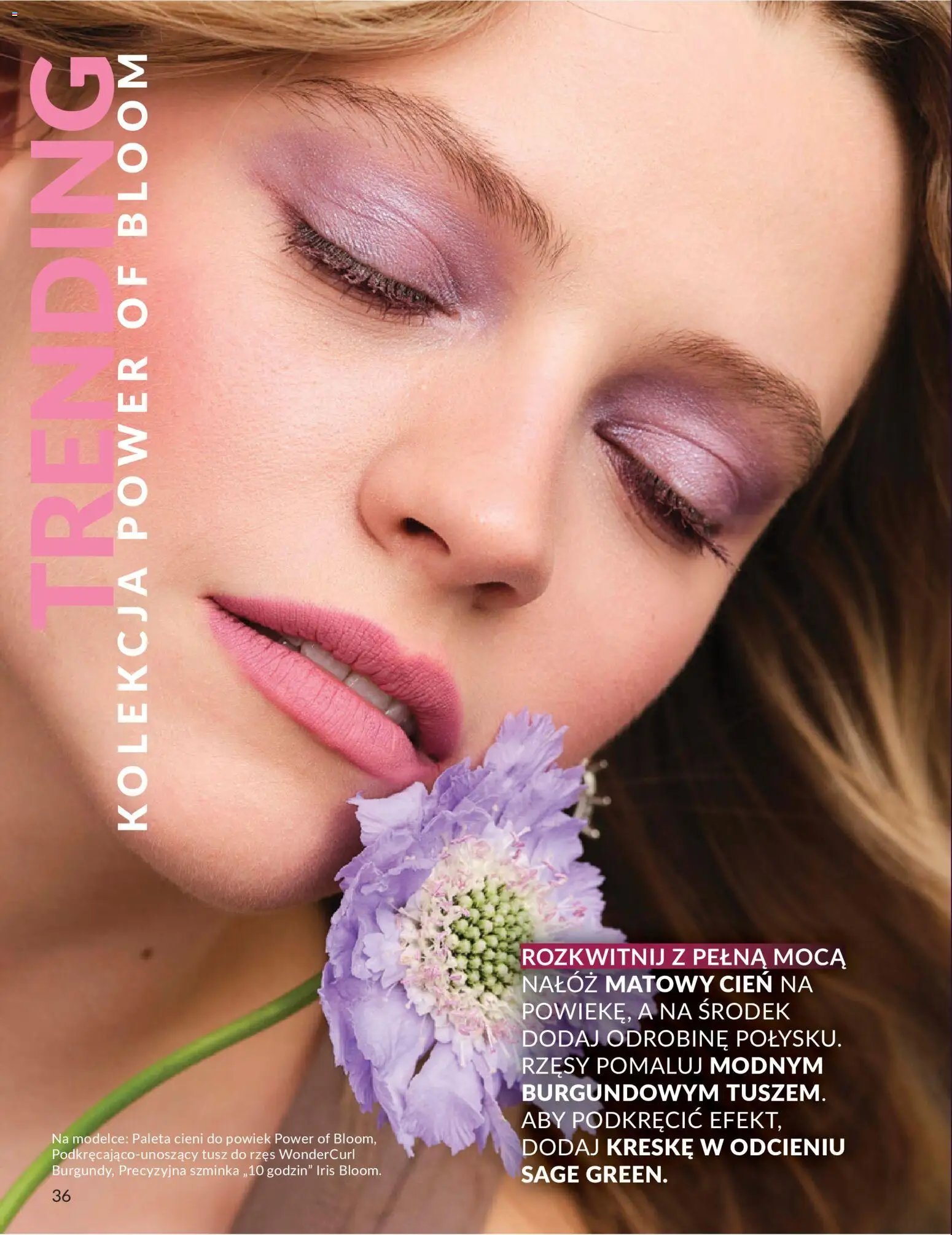 Avon Katalog 5 2026