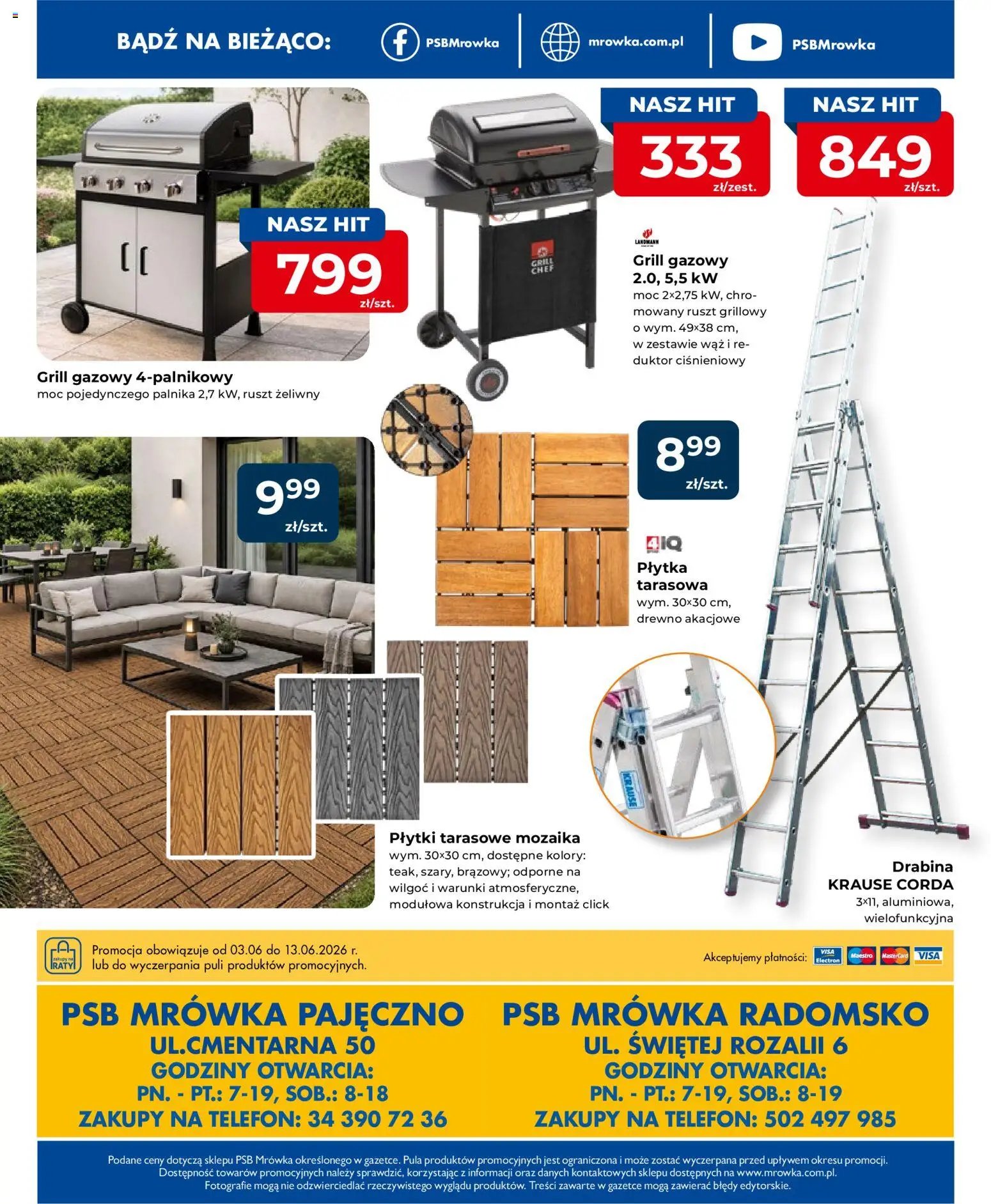 Mrówka gazetka - Radomsko