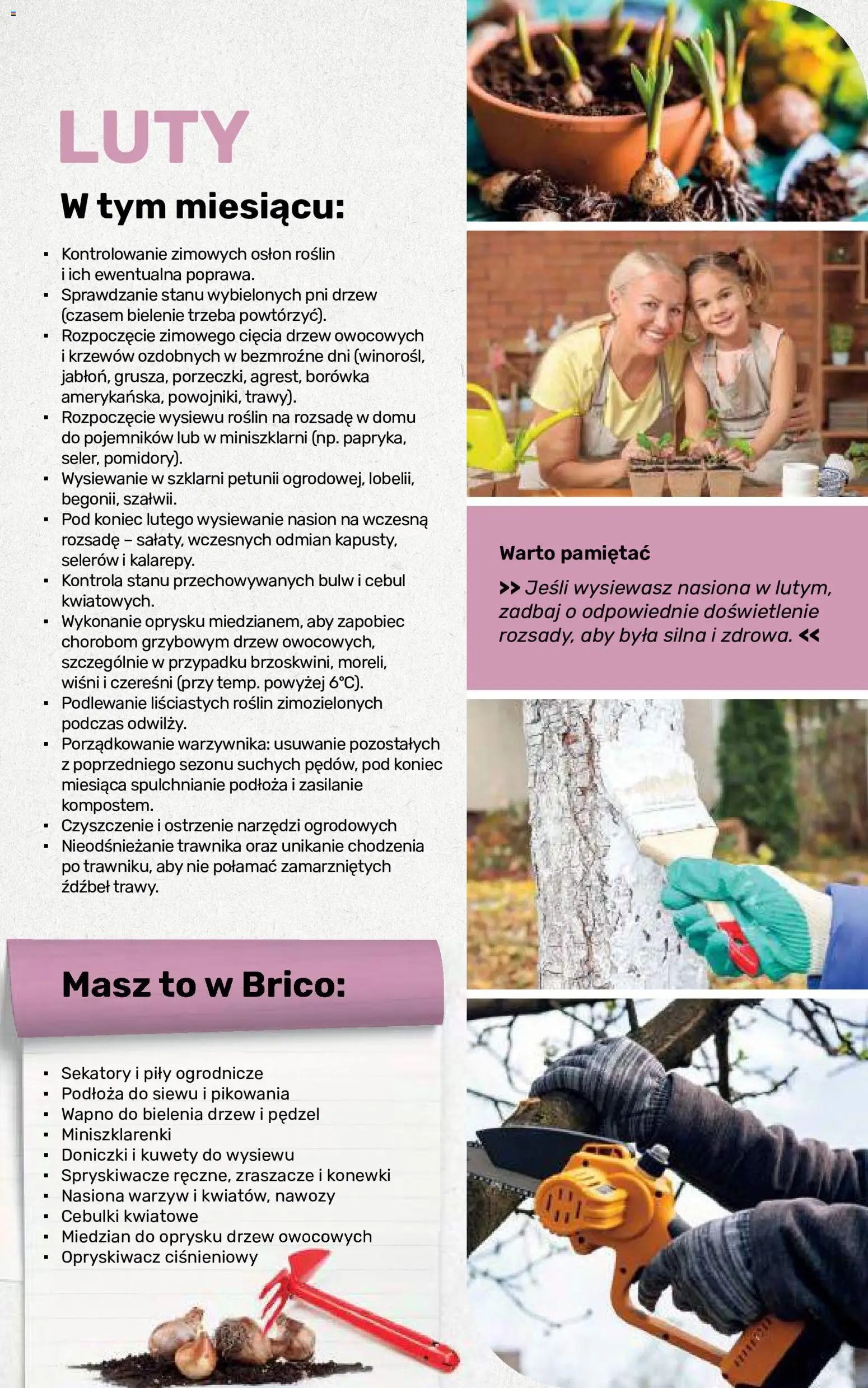 Brico Marché gazetka - Jesienne Inspiracje