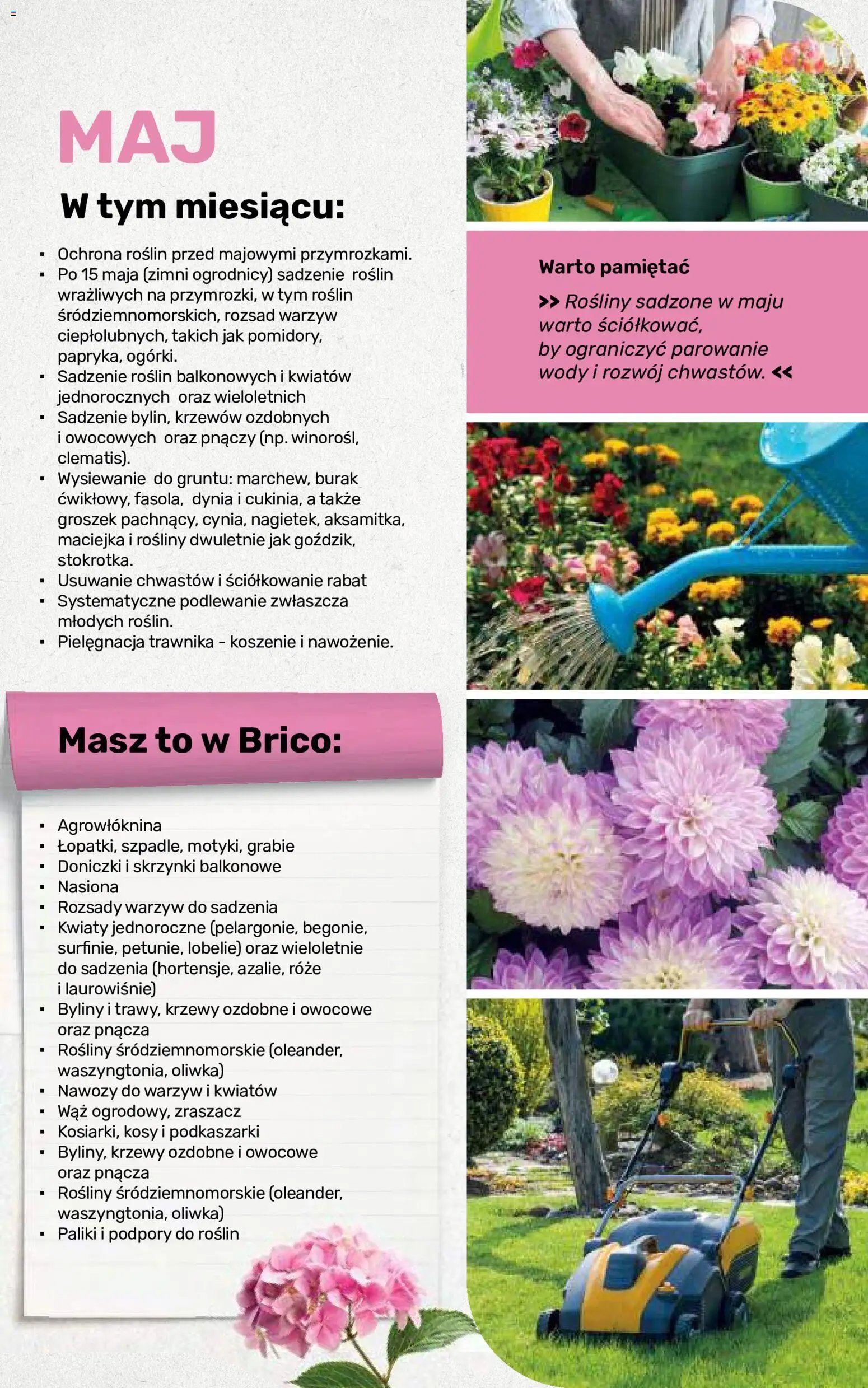 Brico Marché gazetka - Jesienne Inspiracje