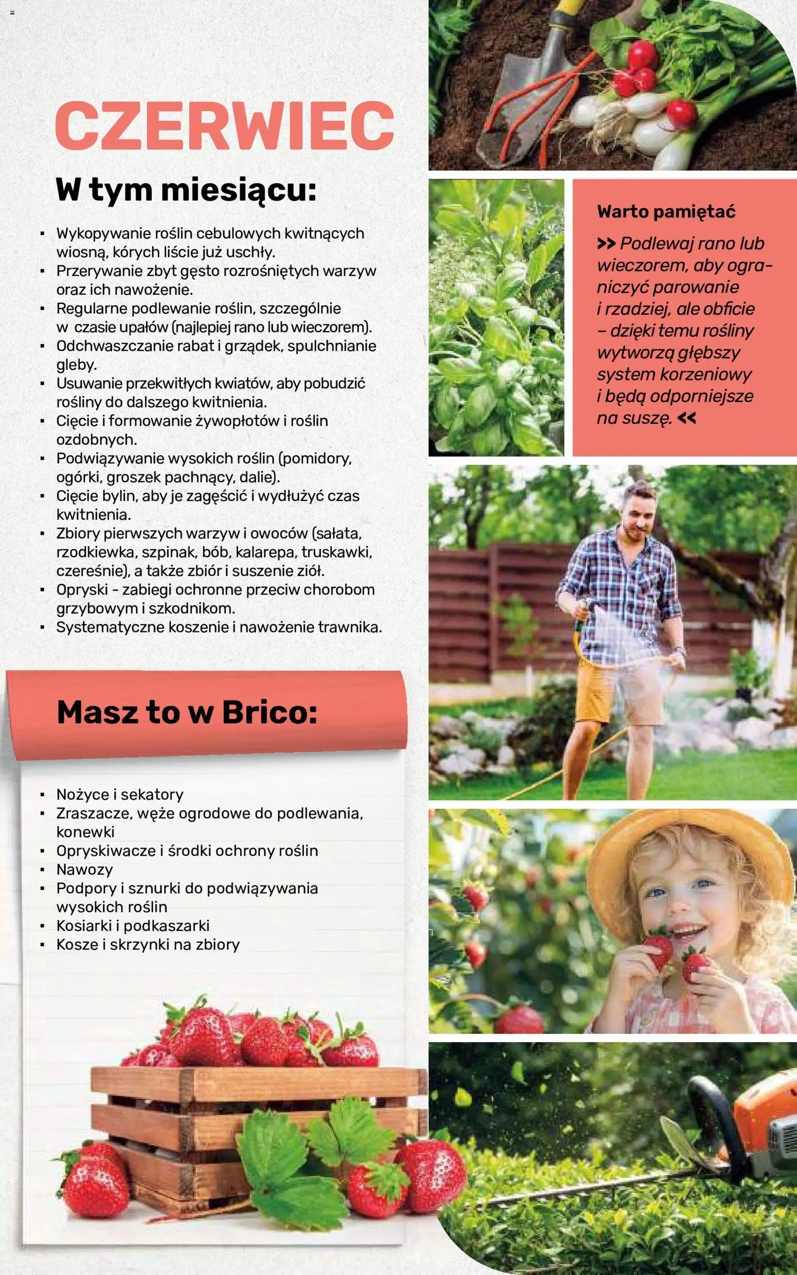 Brico Marché gazetka - Jesienne Inspiracje