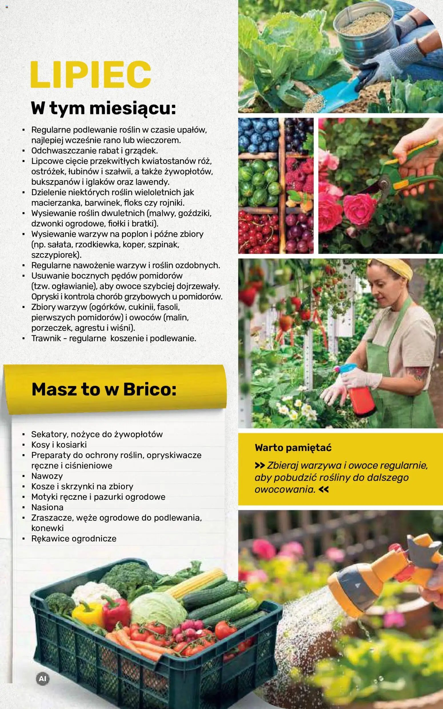 Brico Marché gazetka - Jesienne Inspiracje