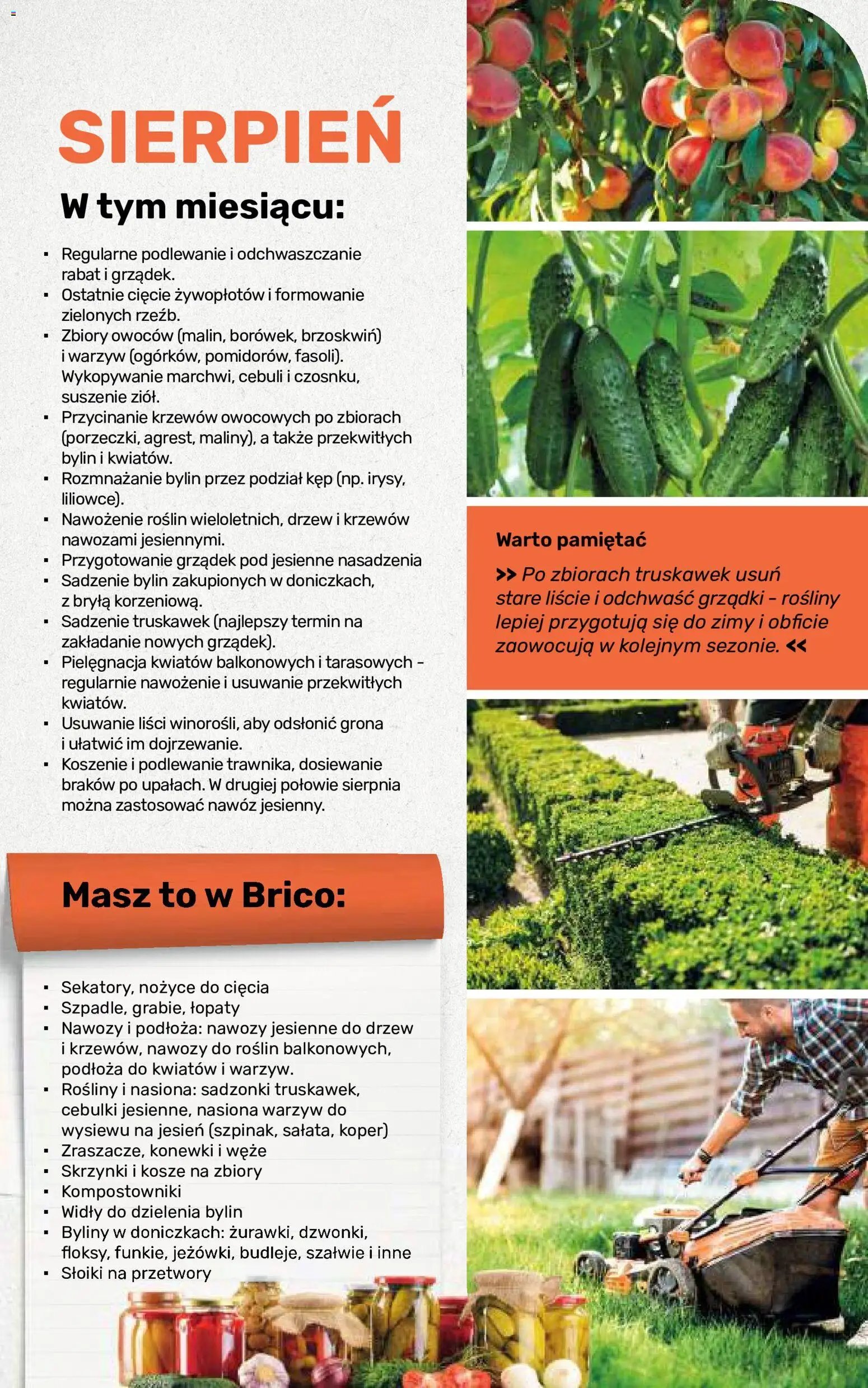 Brico Marché gazetka - Jesienne Inspiracje