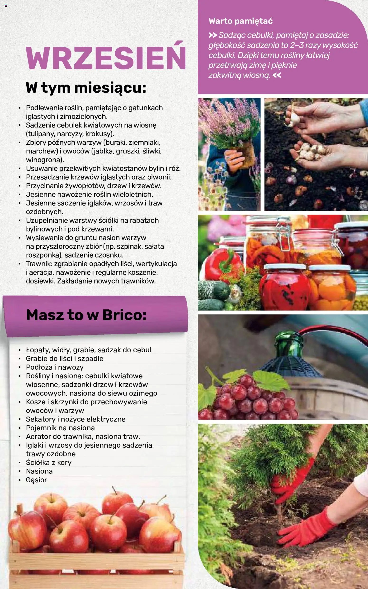 Brico Marché gazetka - Jesienne Inspiracje