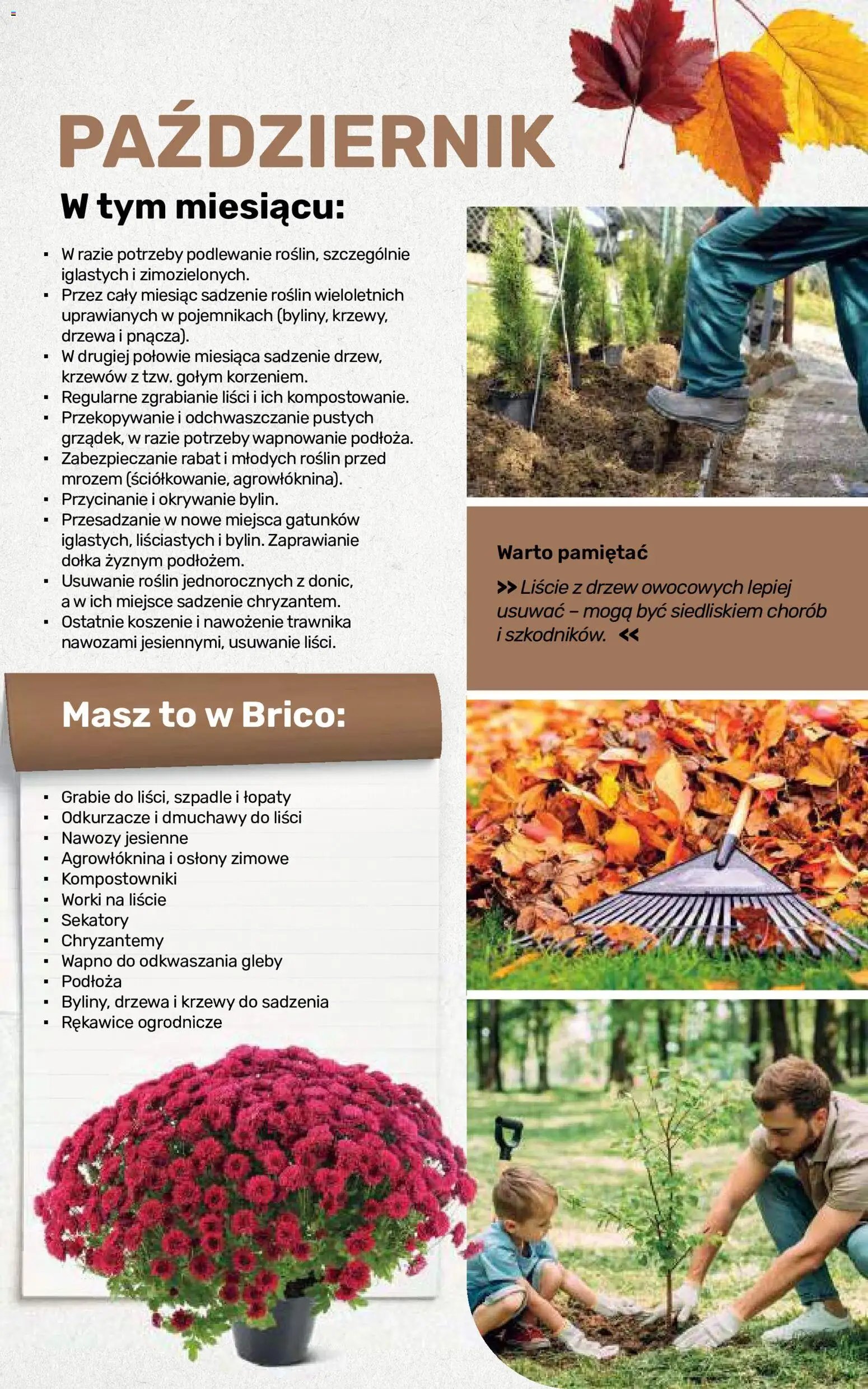 Brico Marché gazetka - Jesienne Inspiracje