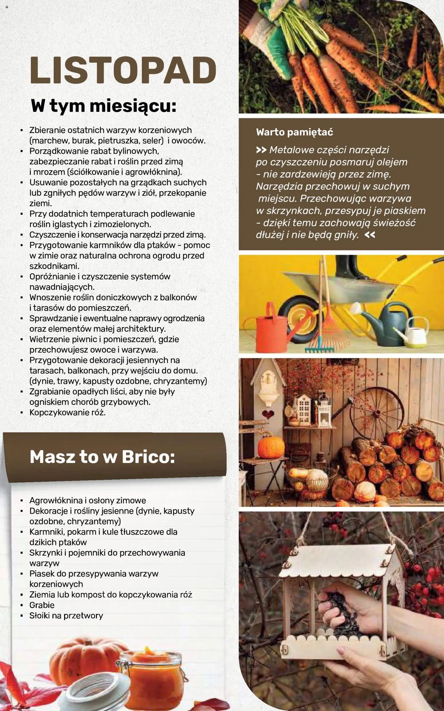 Brico Marché gazetka - Jesienne Inspiracje
