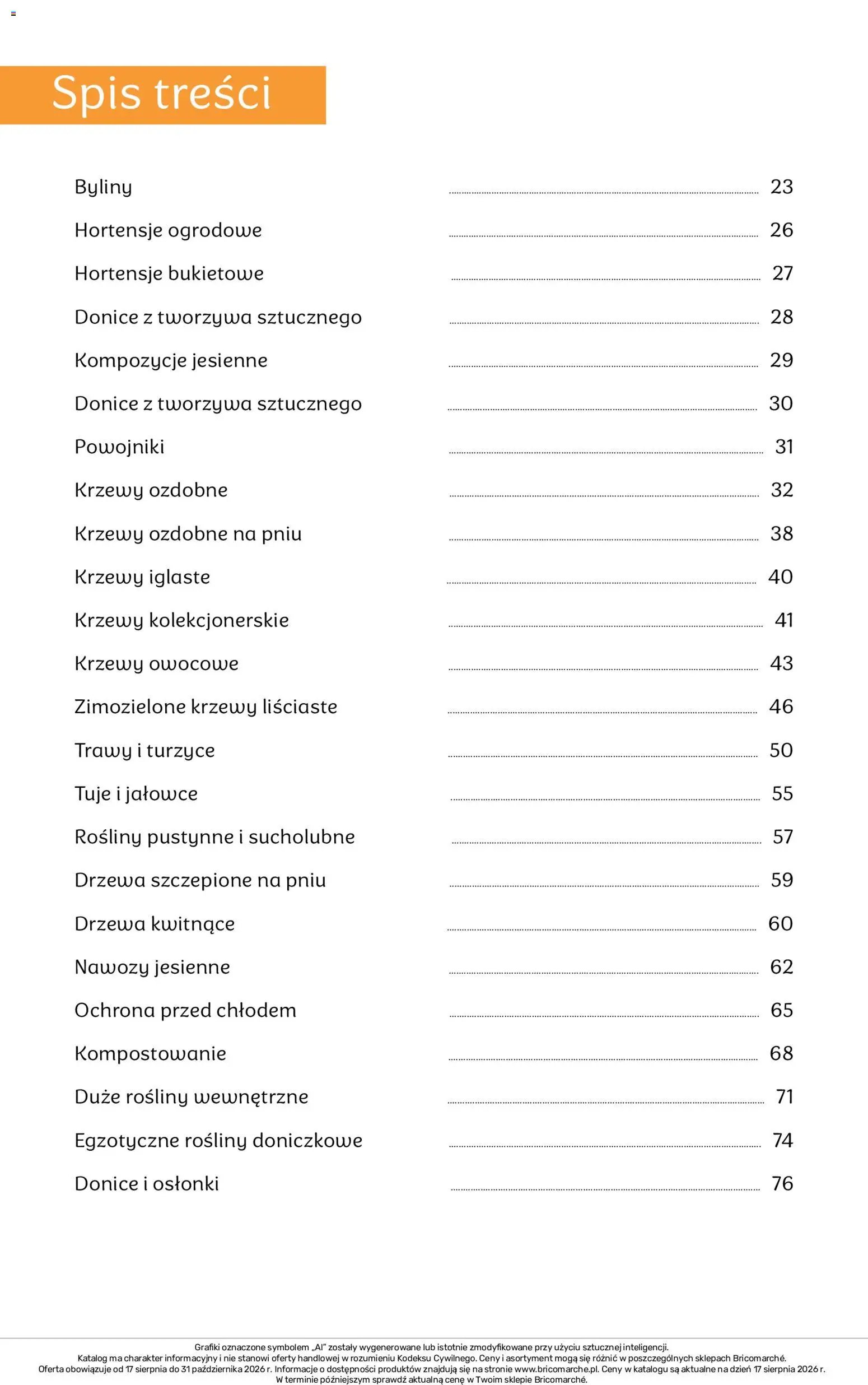 Brico Marché gazetka - Jesienne Inspiracje