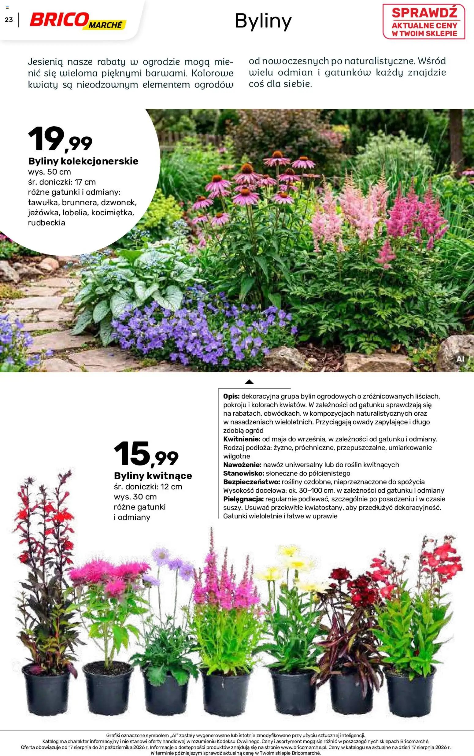 Brico Marché gazetka - Jesienne Inspiracje