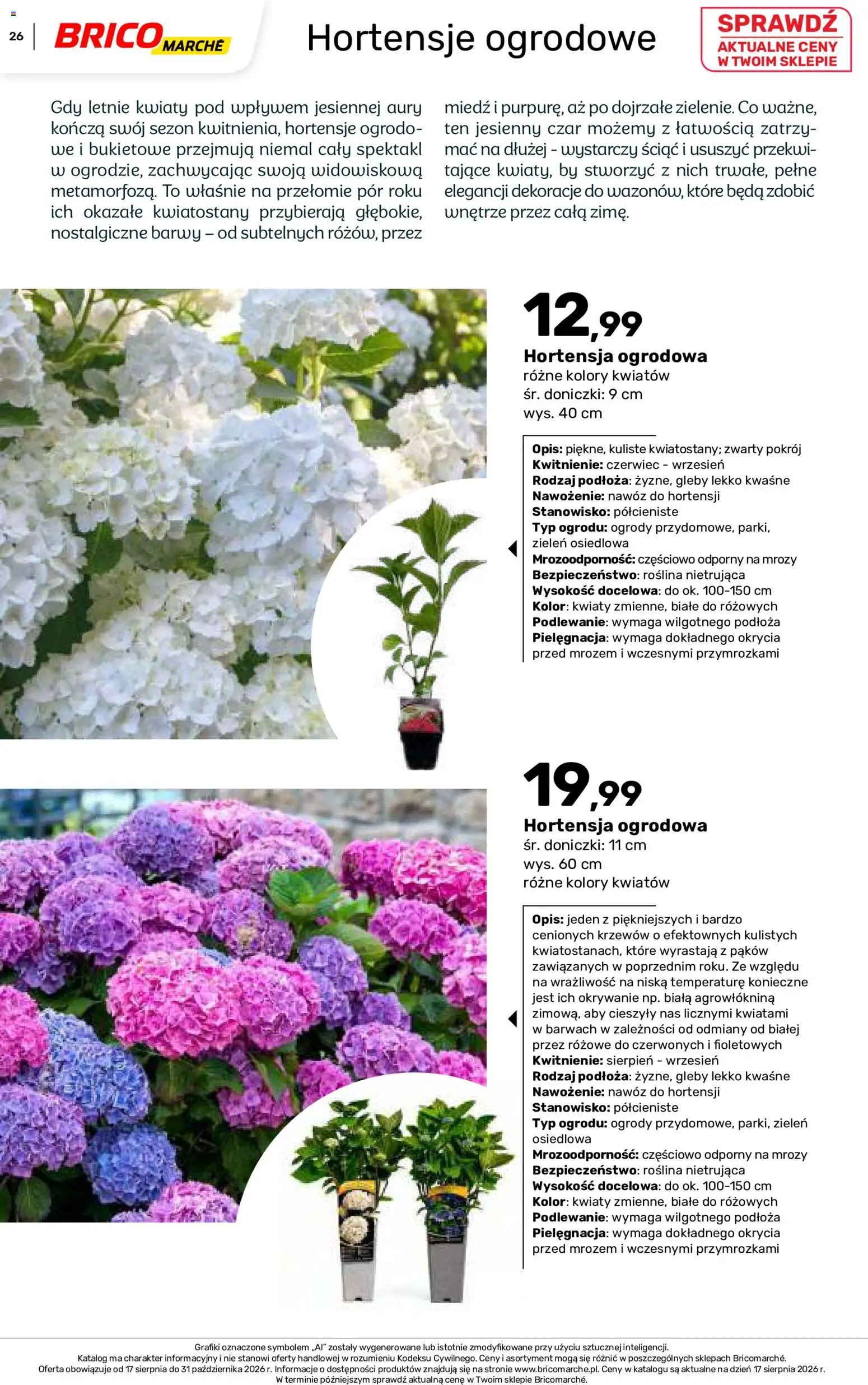 Brico Marché gazetka - Jesienne Inspiracje