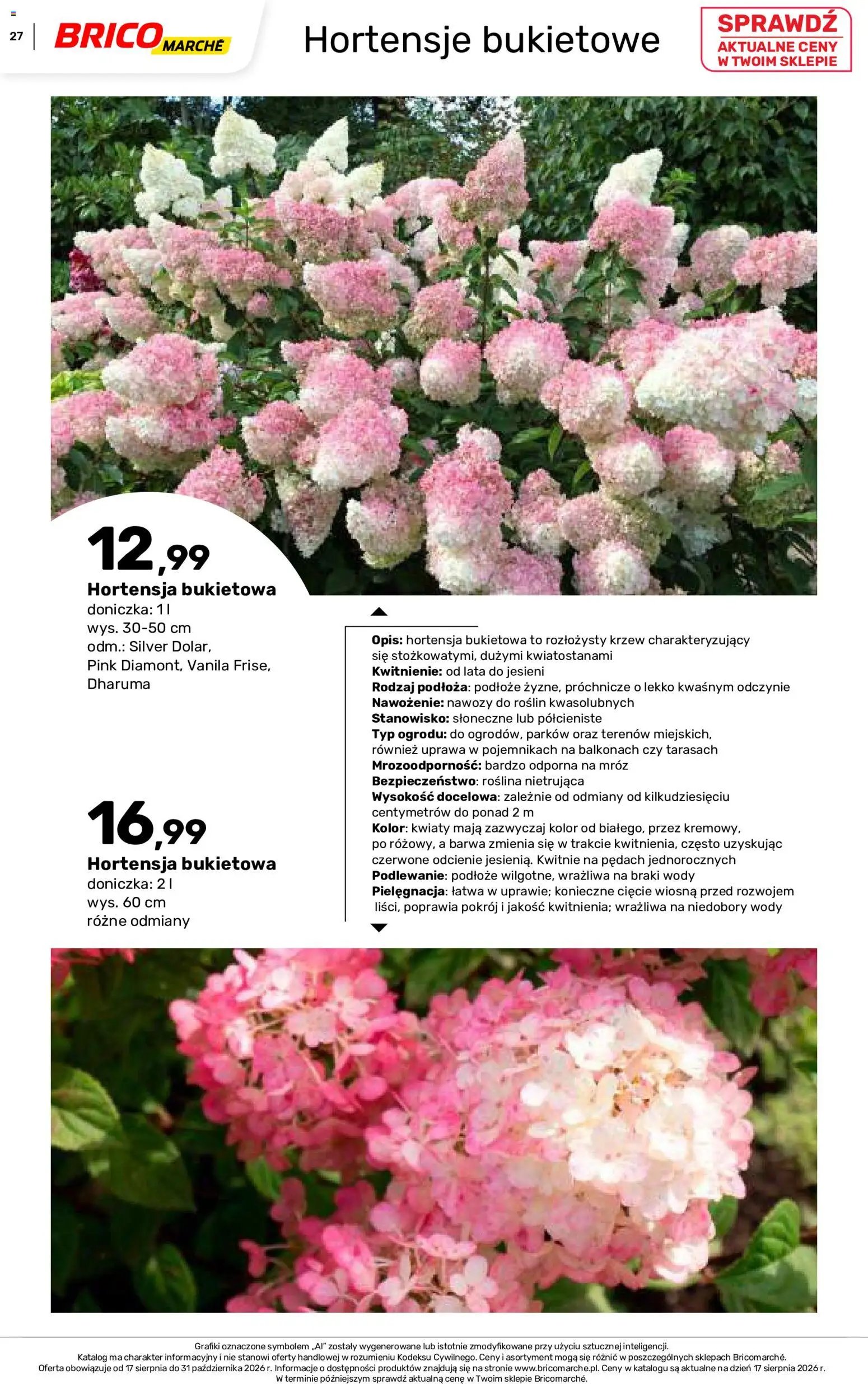 Brico Marché gazetka - Jesienne Inspiracje
