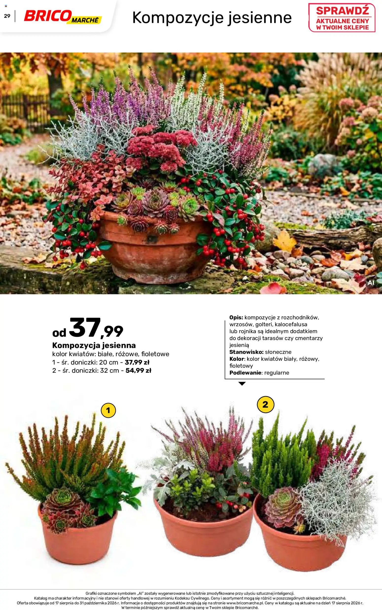 Brico Marché gazetka - Jesienne Inspiracje