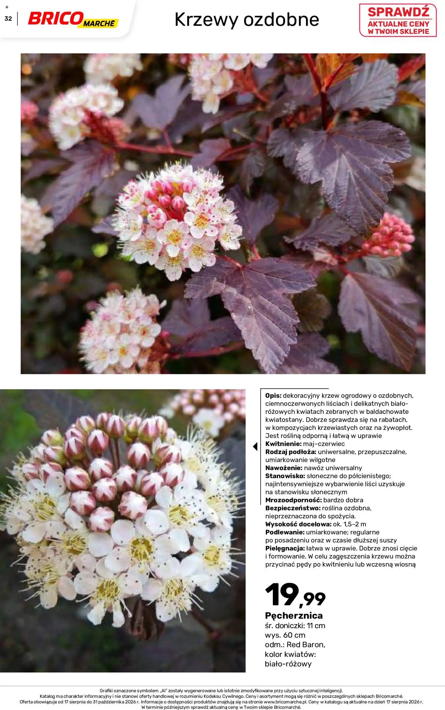 Brico Marché gazetka - Jesienne Inspiracje