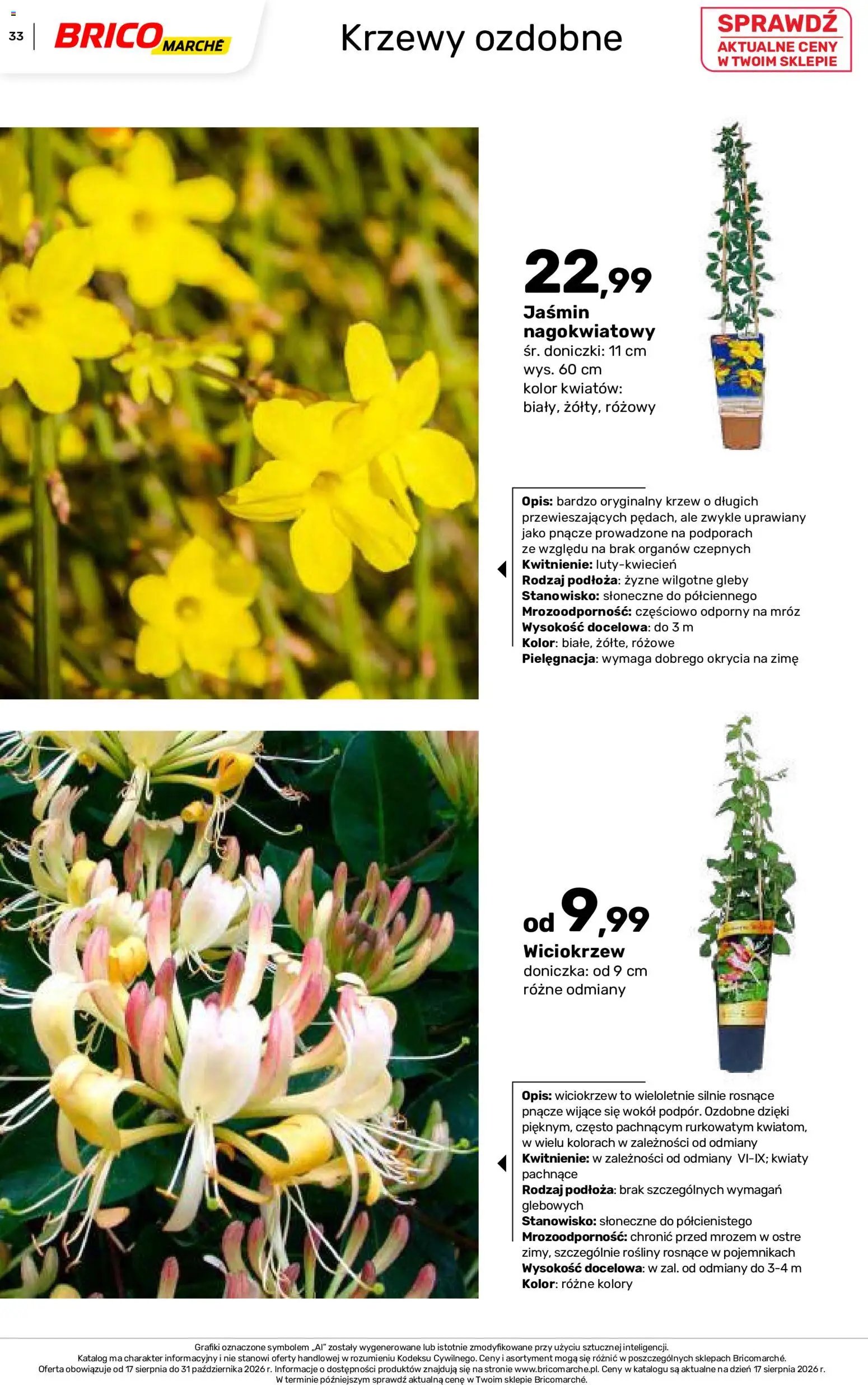 Brico Marché gazetka - Jesienne Inspiracje