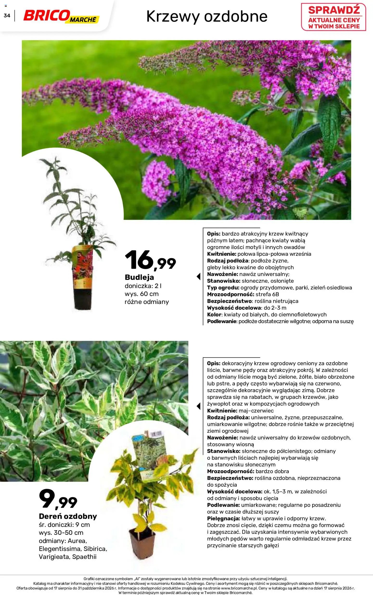 Brico Marché gazetka - Jesienne Inspiracje