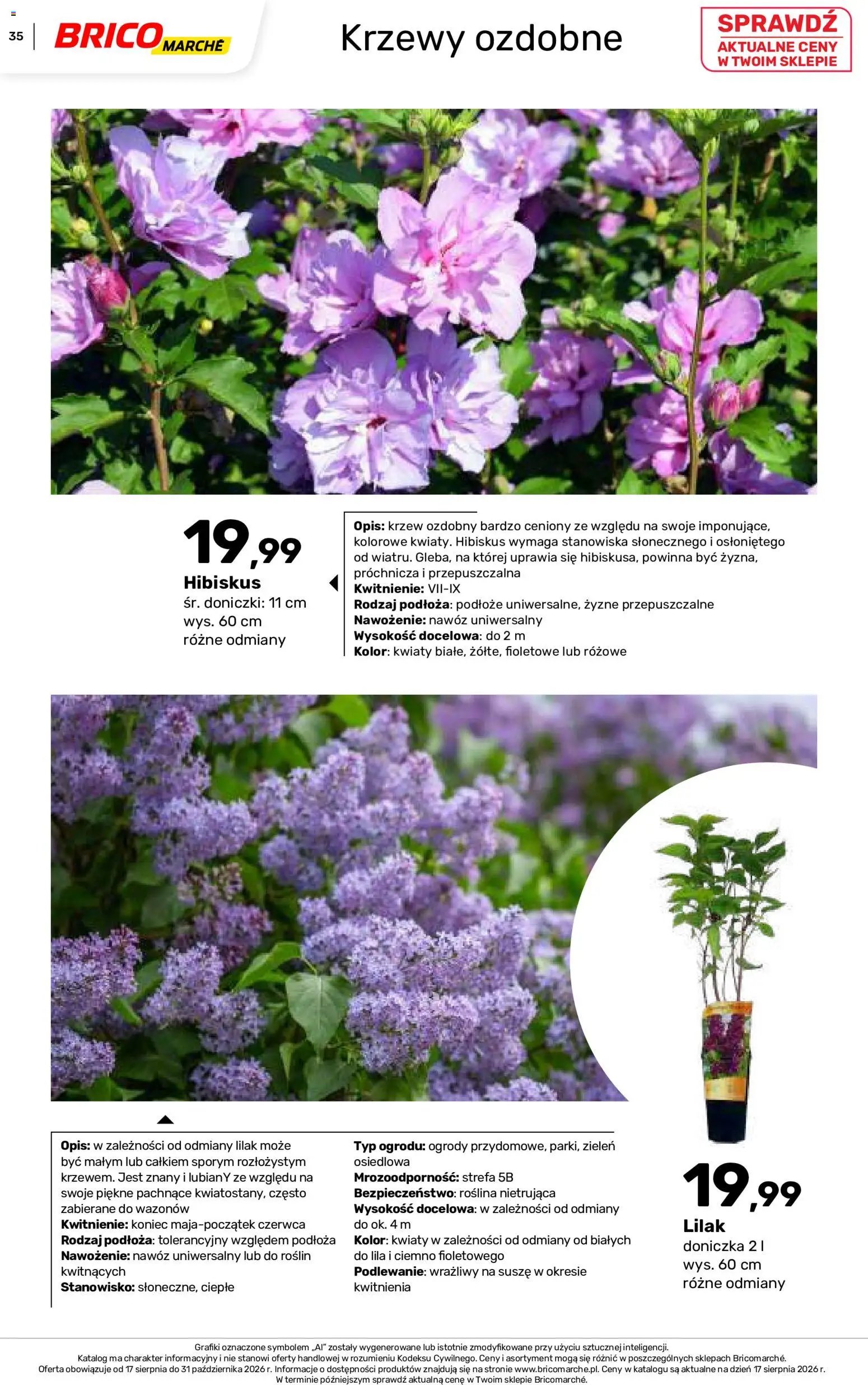 Brico Marché gazetka - Jesienne Inspiracje