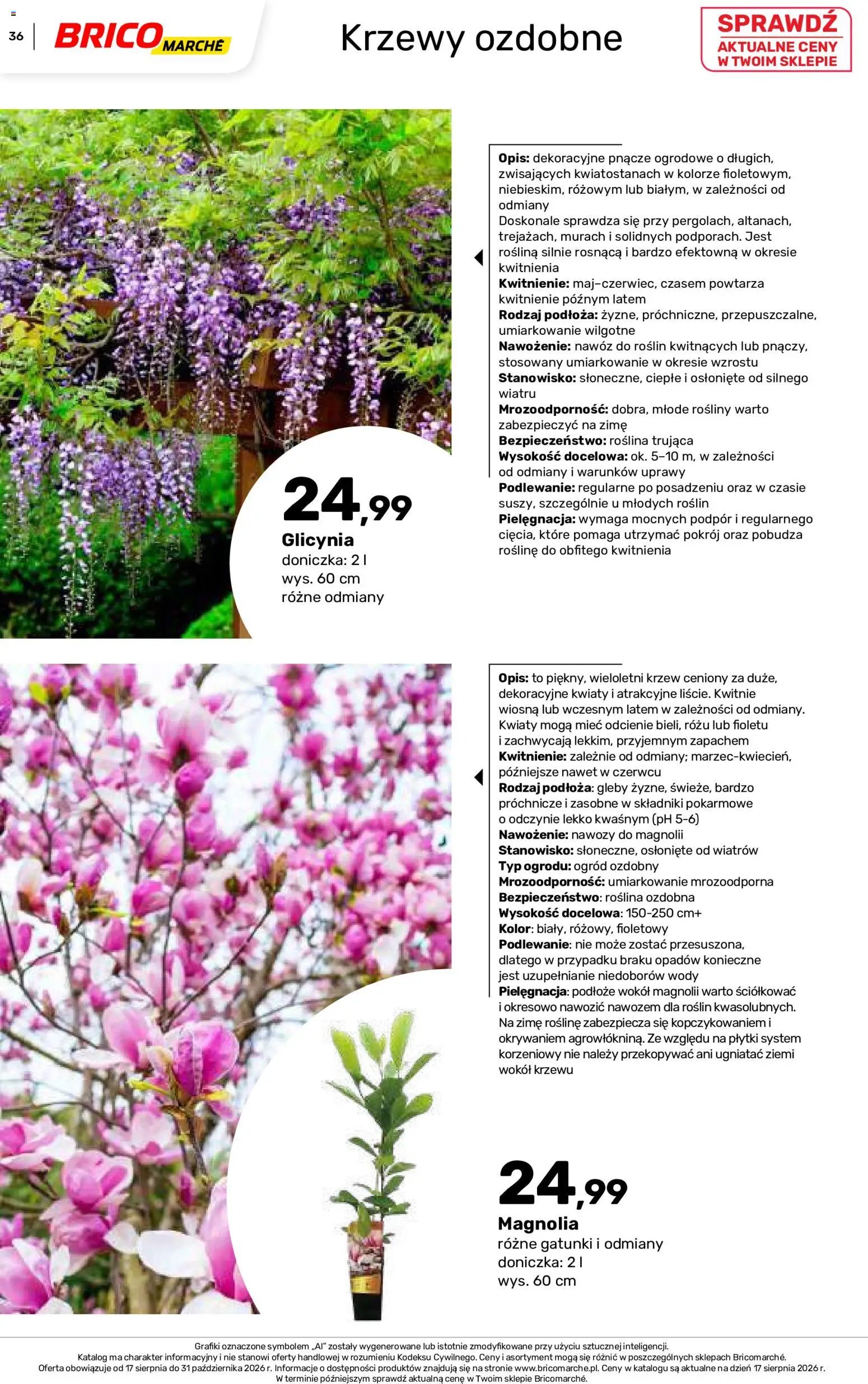 Brico Marché gazetka - Jesienne Inspiracje