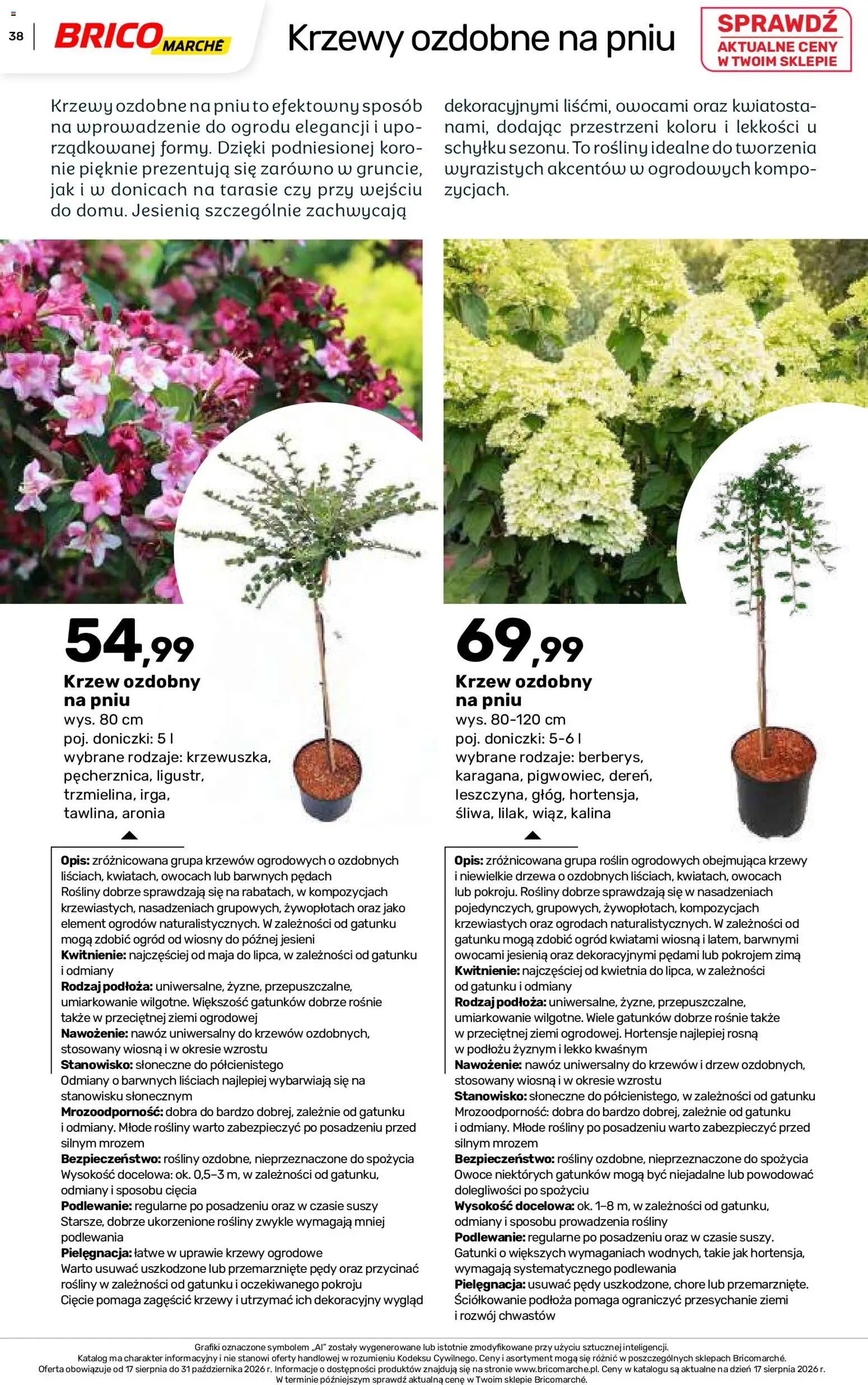 Brico Marché gazetka - Jesienne Inspiracje