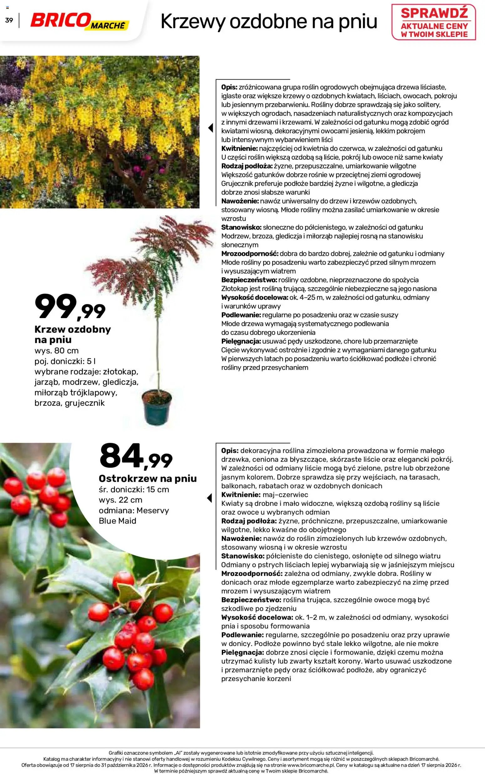 Brico Marché gazetka - Jesienne Inspiracje