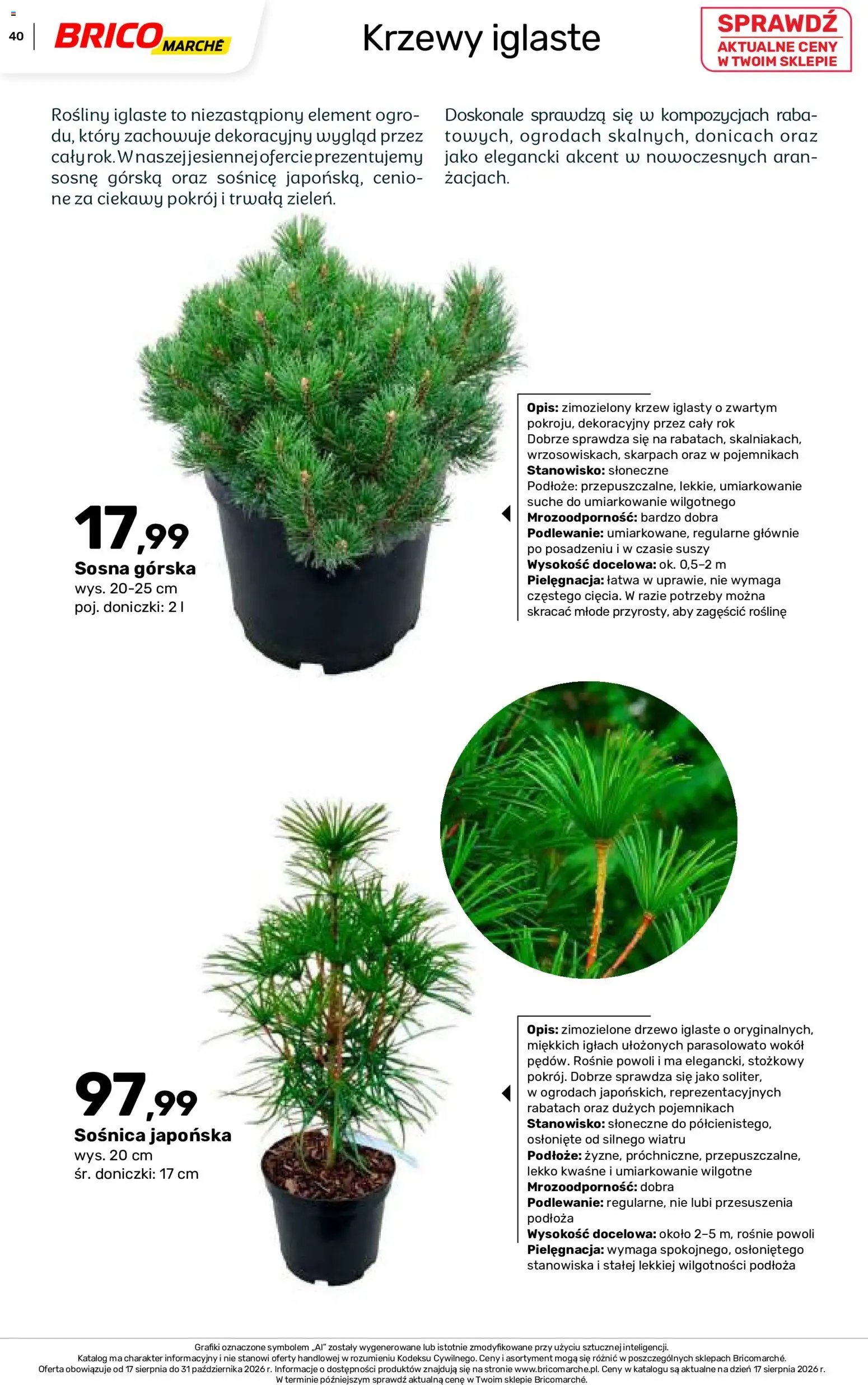 Brico Marché gazetka - Jesienne Inspiracje
