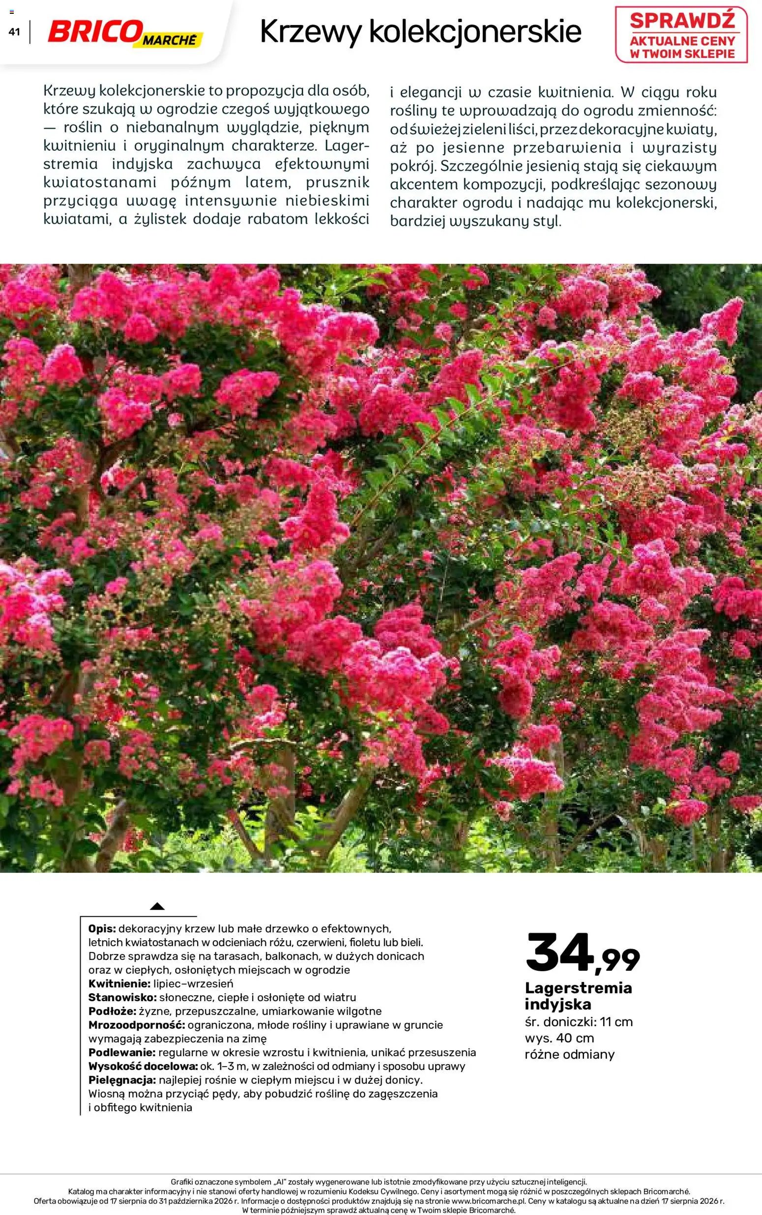 Brico Marché gazetka - Jesienne Inspiracje