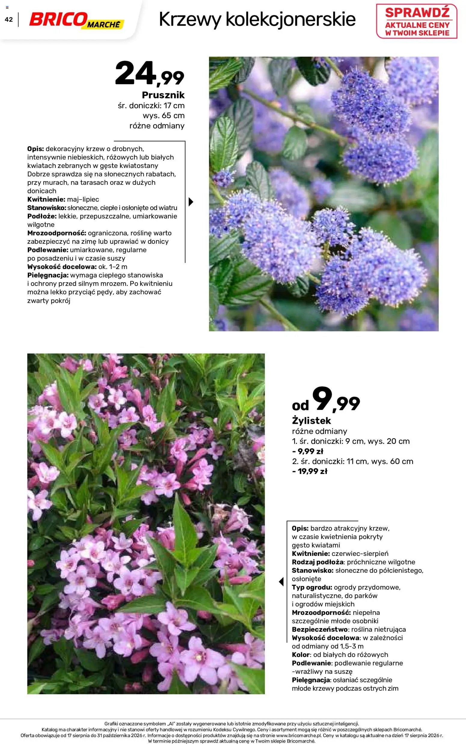 Brico Marché gazetka - Jesienne Inspiracje