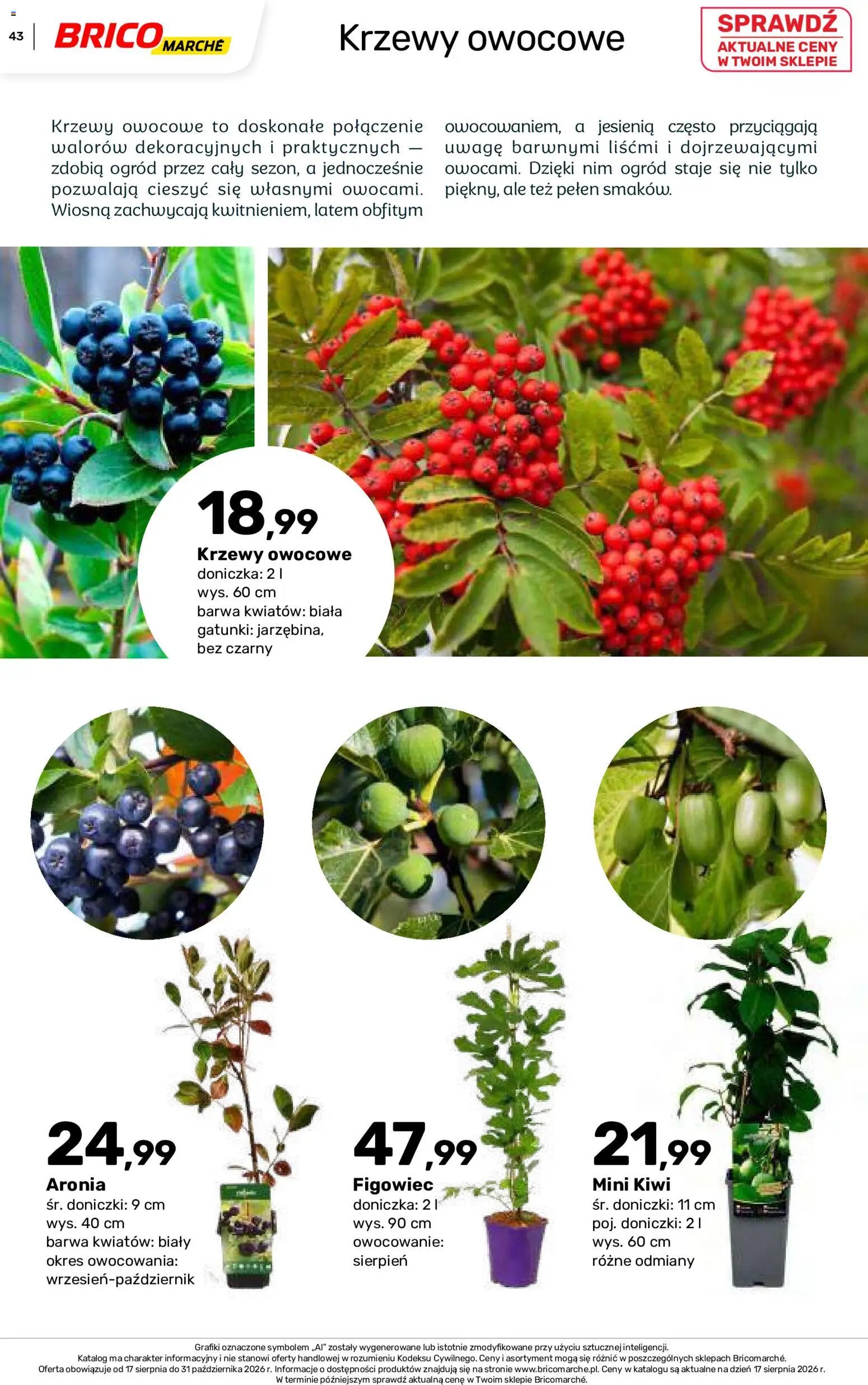 Brico Marché gazetka - Jesienne Inspiracje