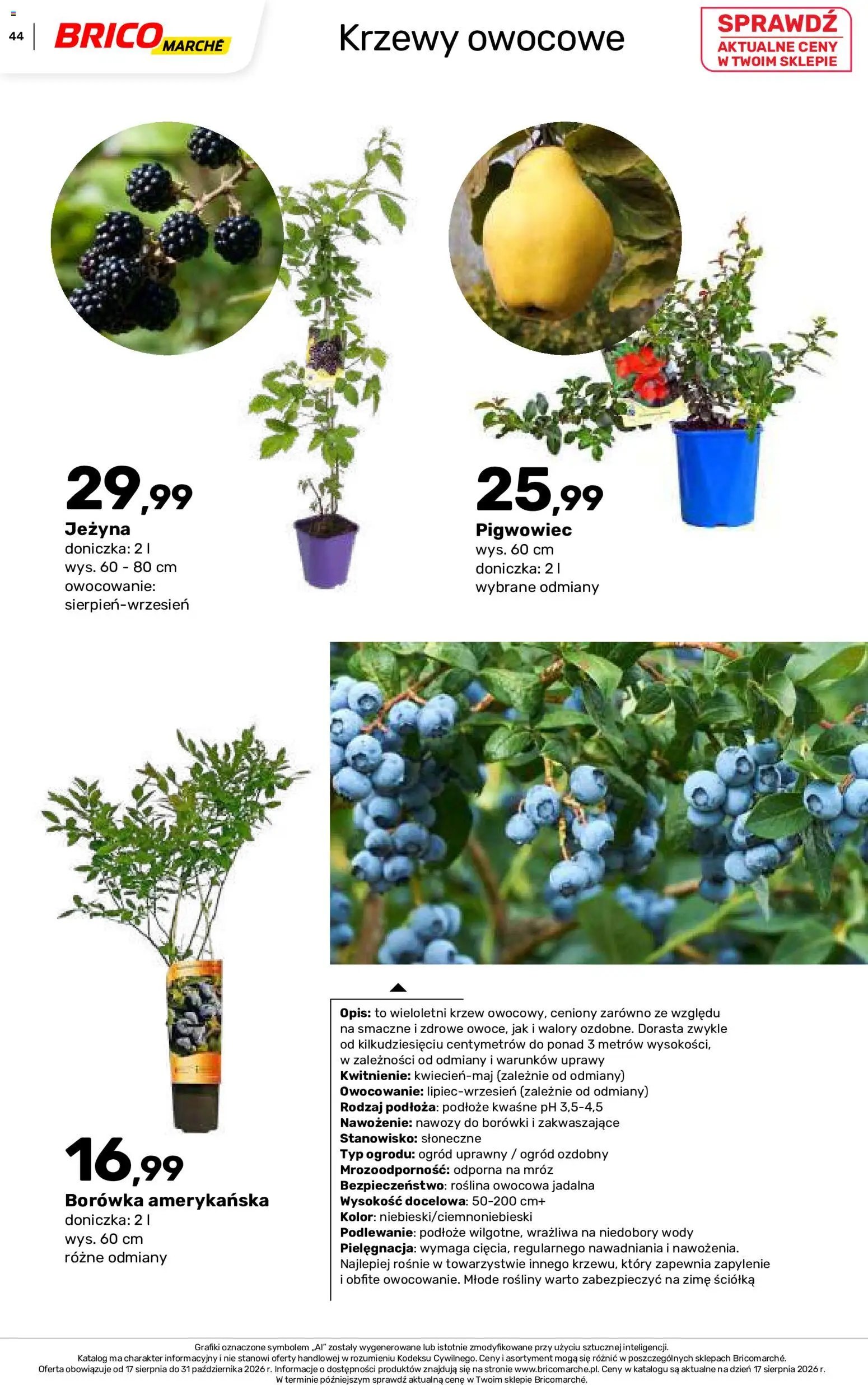 Brico Marché gazetka - Jesienne Inspiracje