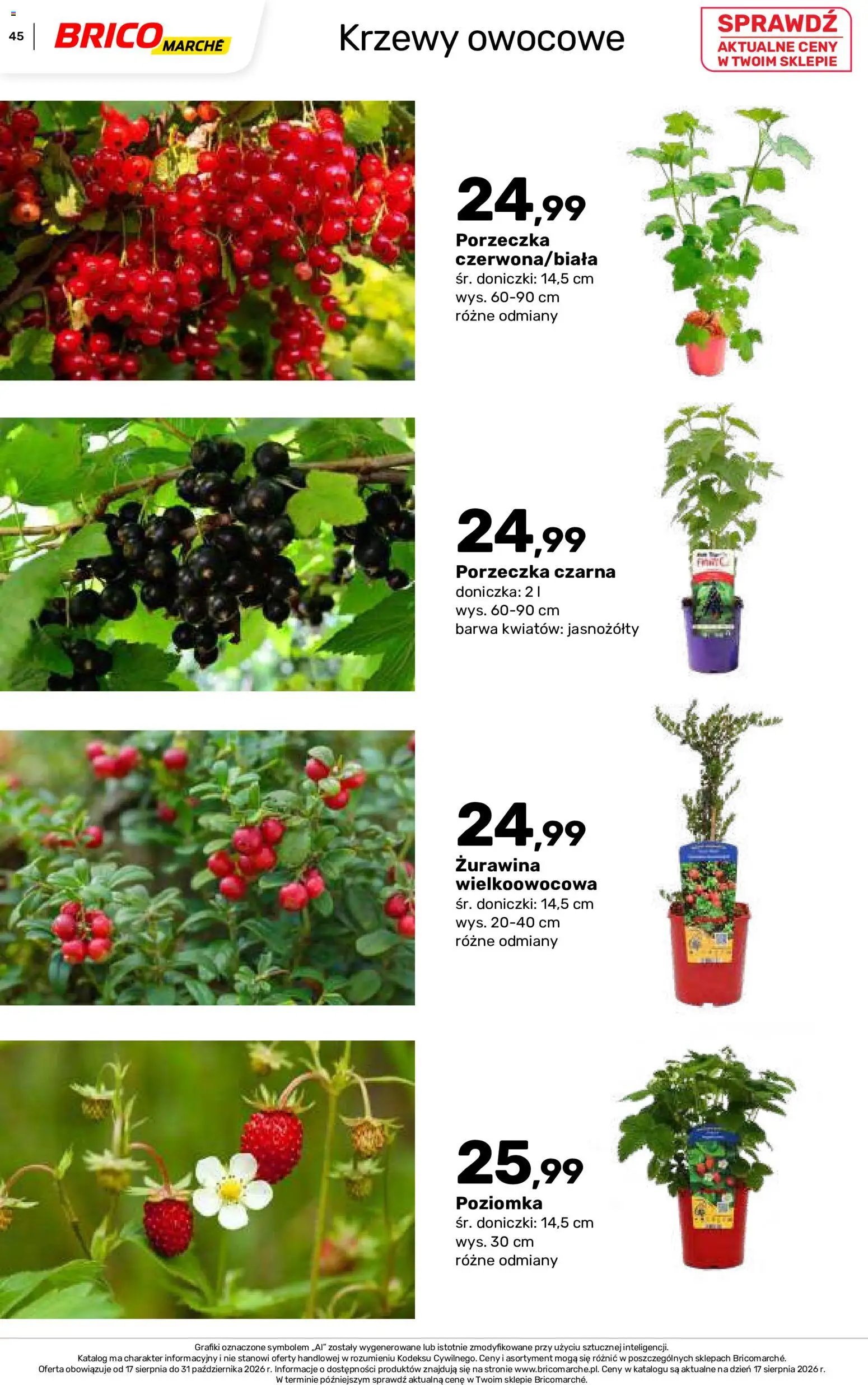 Brico Marché gazetka - Jesienne Inspiracje