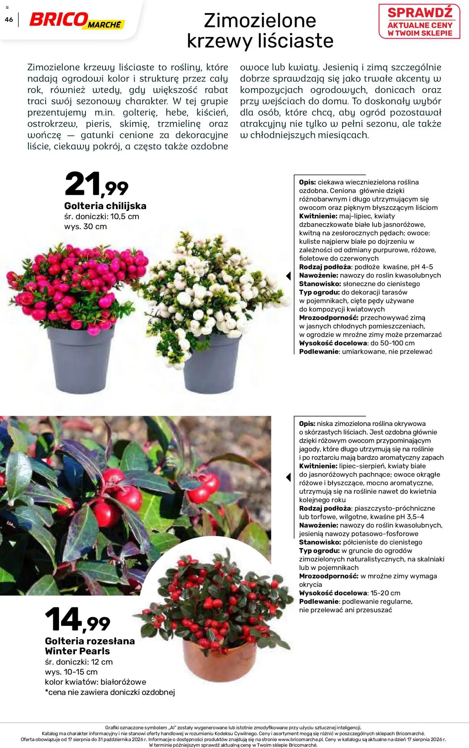 Brico Marché gazetka - Jesienne Inspiracje