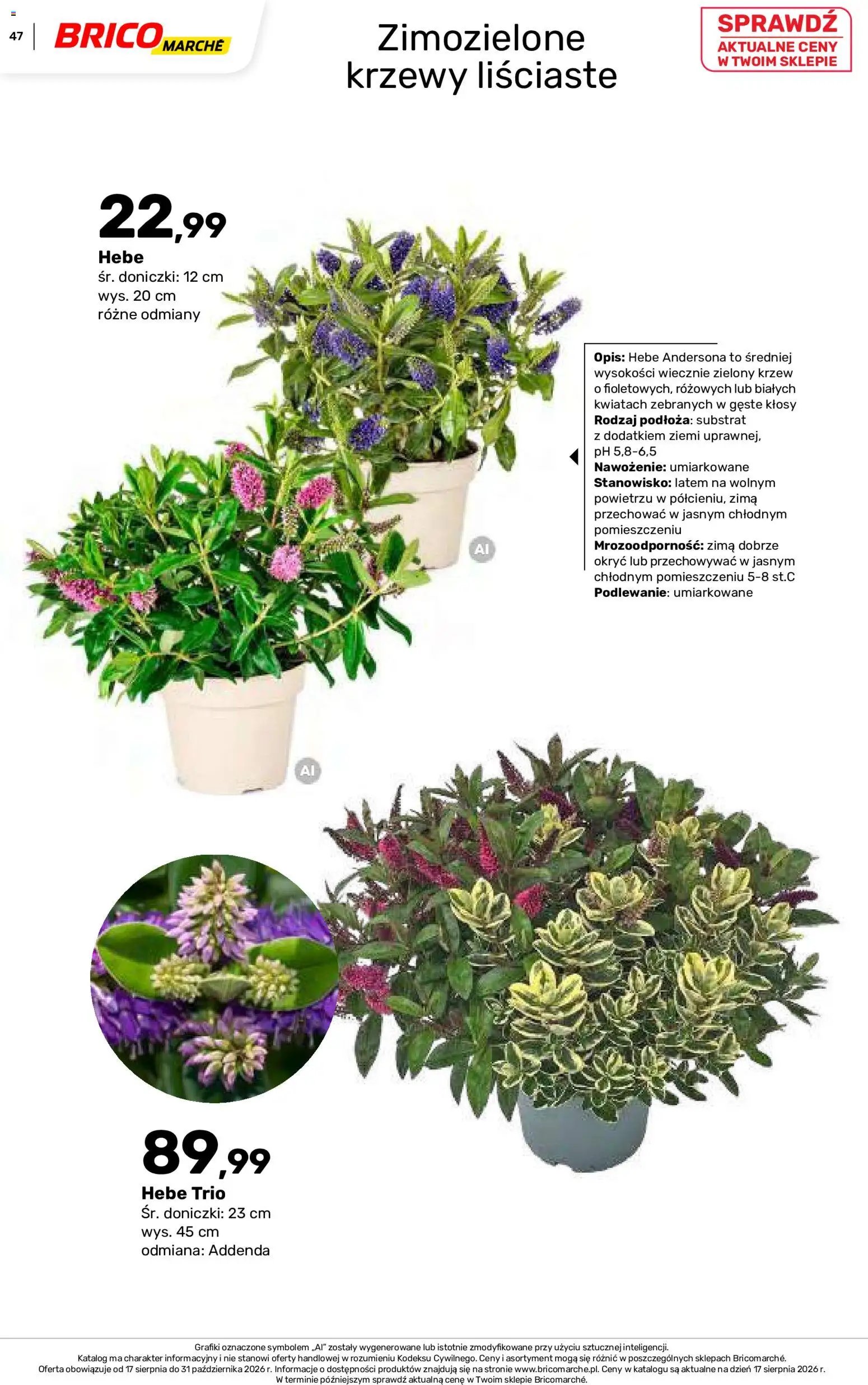 Brico Marché gazetka - Jesienne Inspiracje