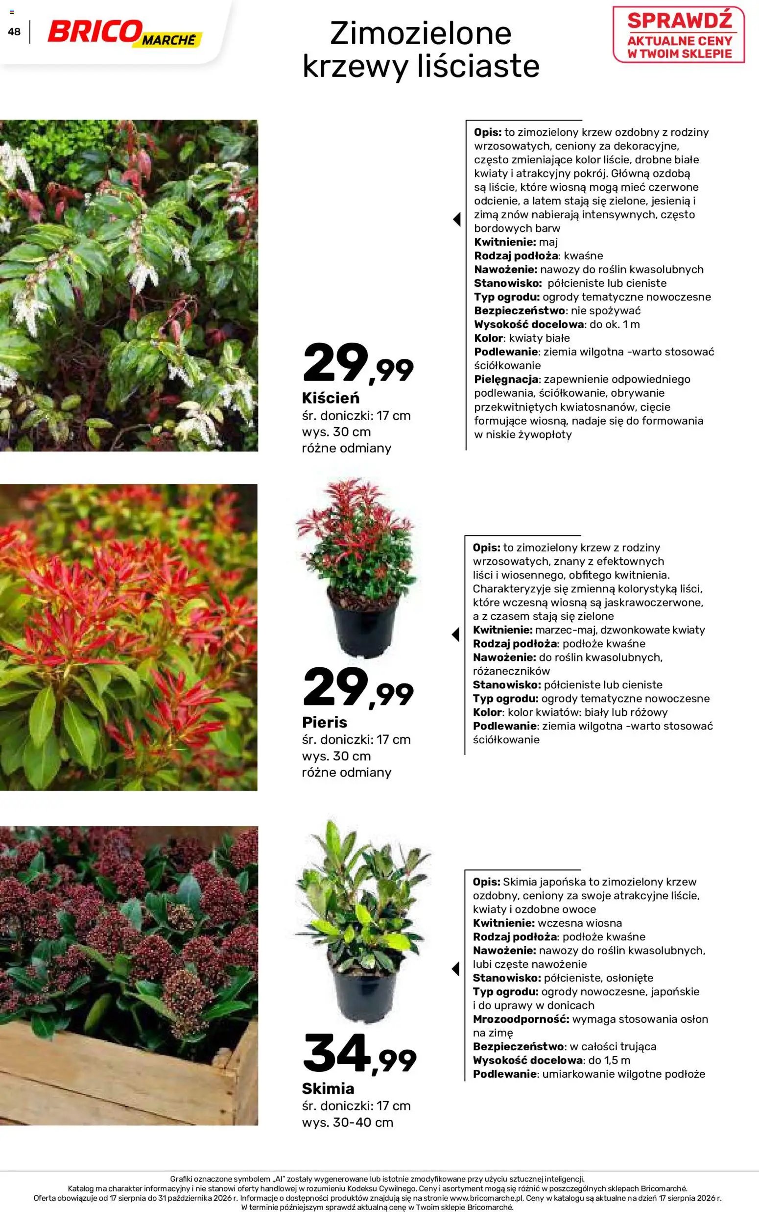 Brico Marché gazetka - Jesienne Inspiracje