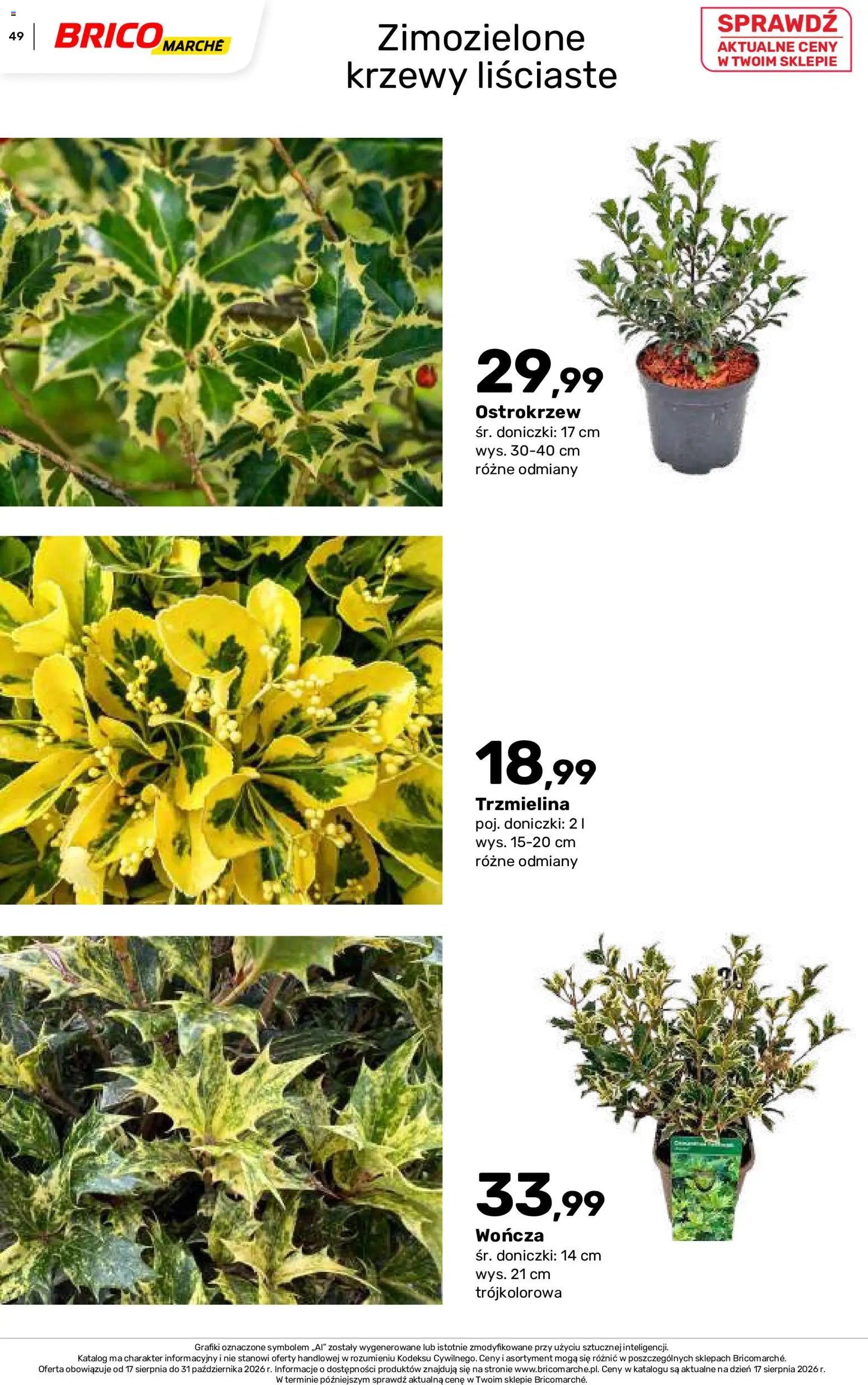 Brico Marché gazetka - Jesienne Inspiracje