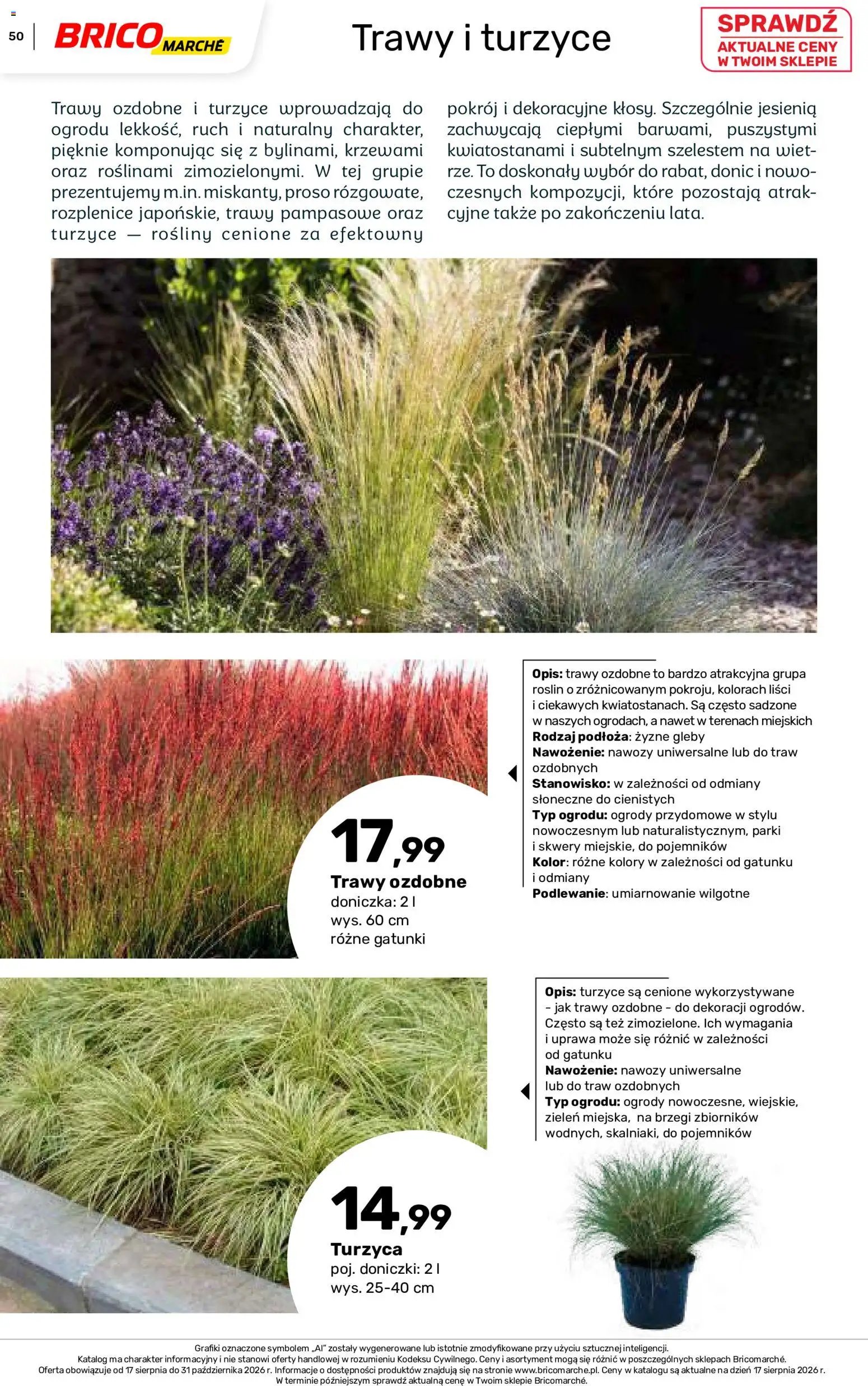Brico Marché gazetka - Jesienne Inspiracje