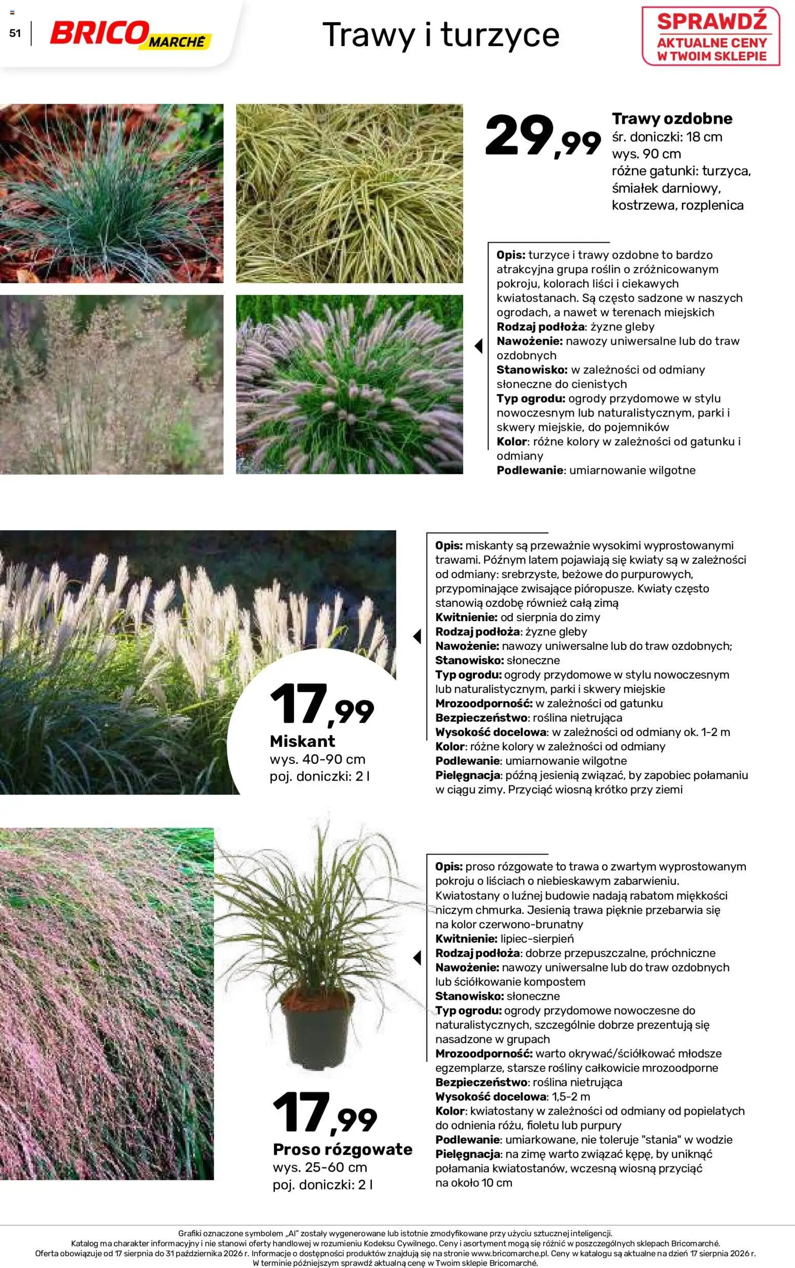 Brico Marché gazetka - Jesienne Inspiracje
