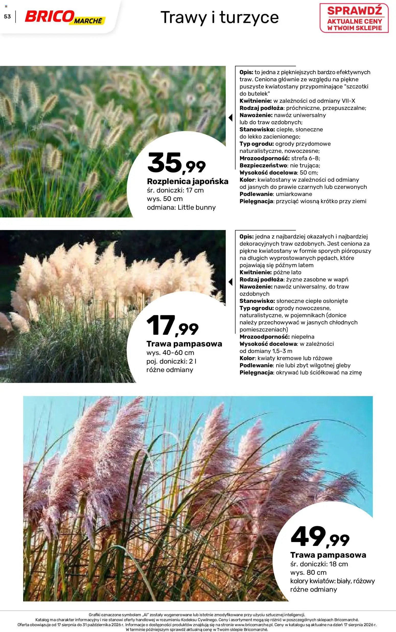 Brico Marché gazetka - Jesienne Inspiracje