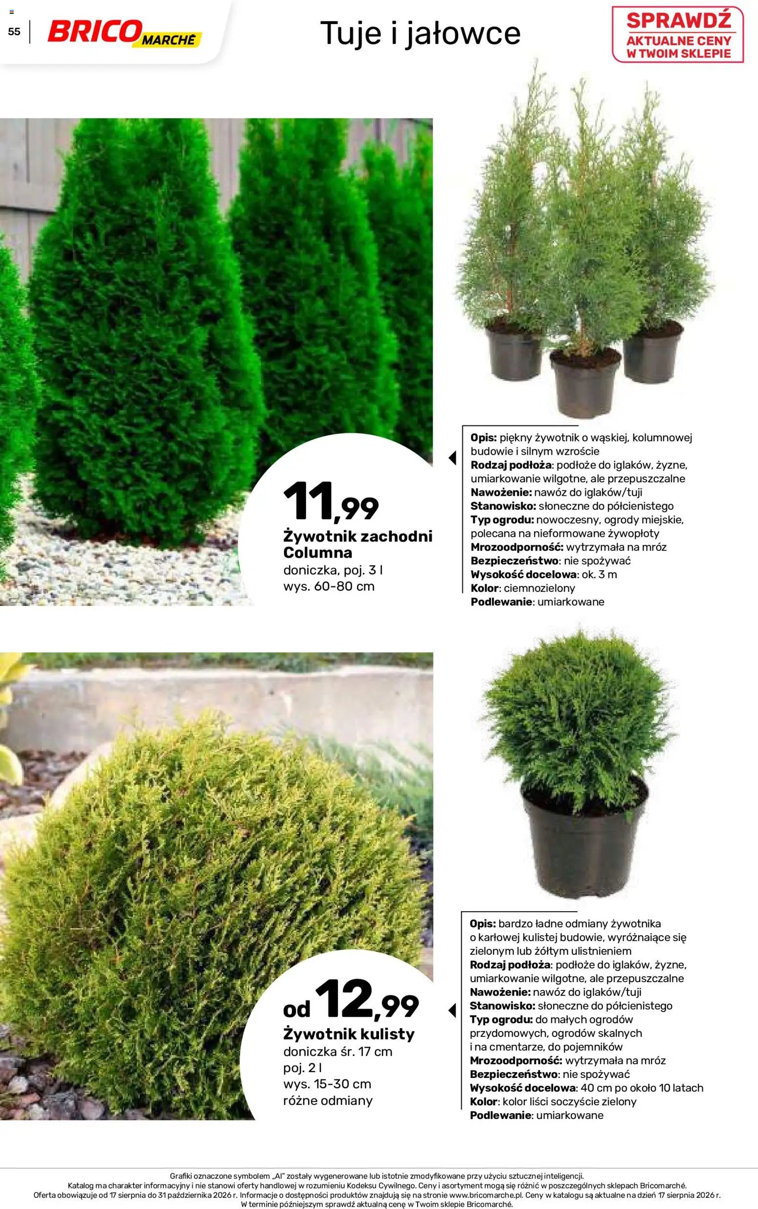 Brico Marché gazetka - Jesienne Inspiracje