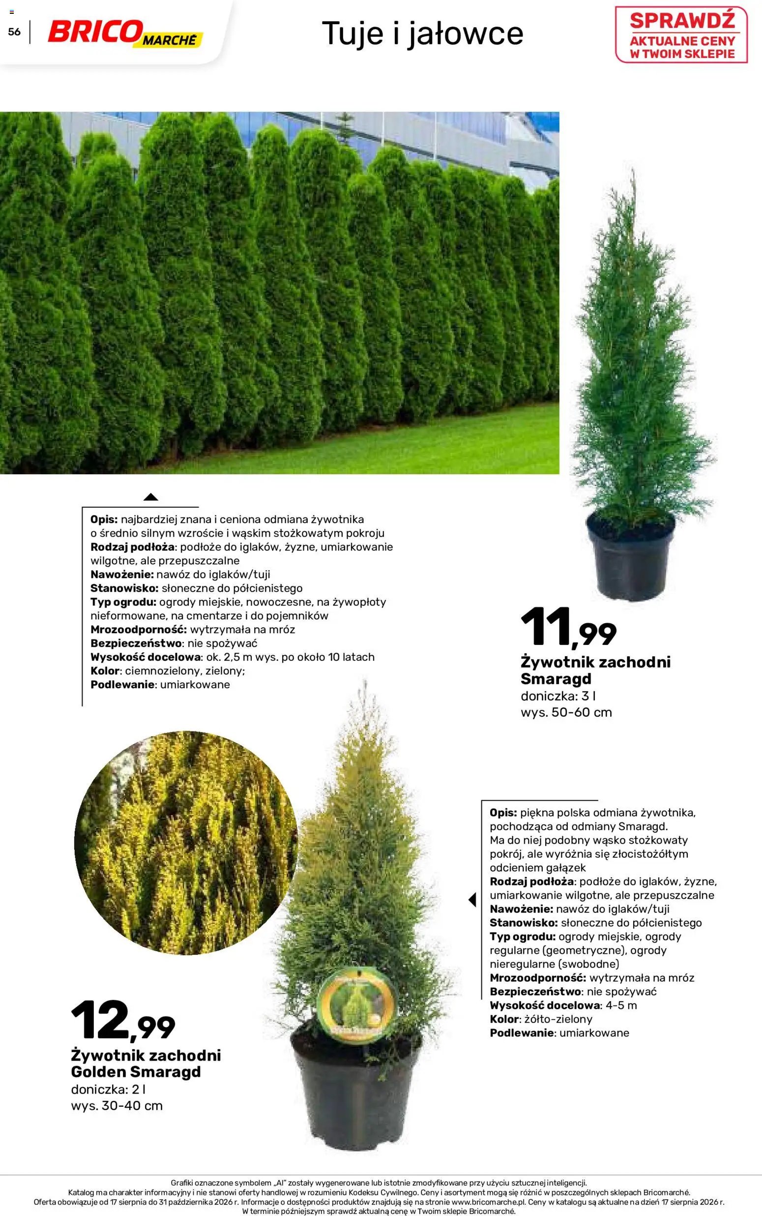 Brico Marché gazetka - Jesienne Inspiracje