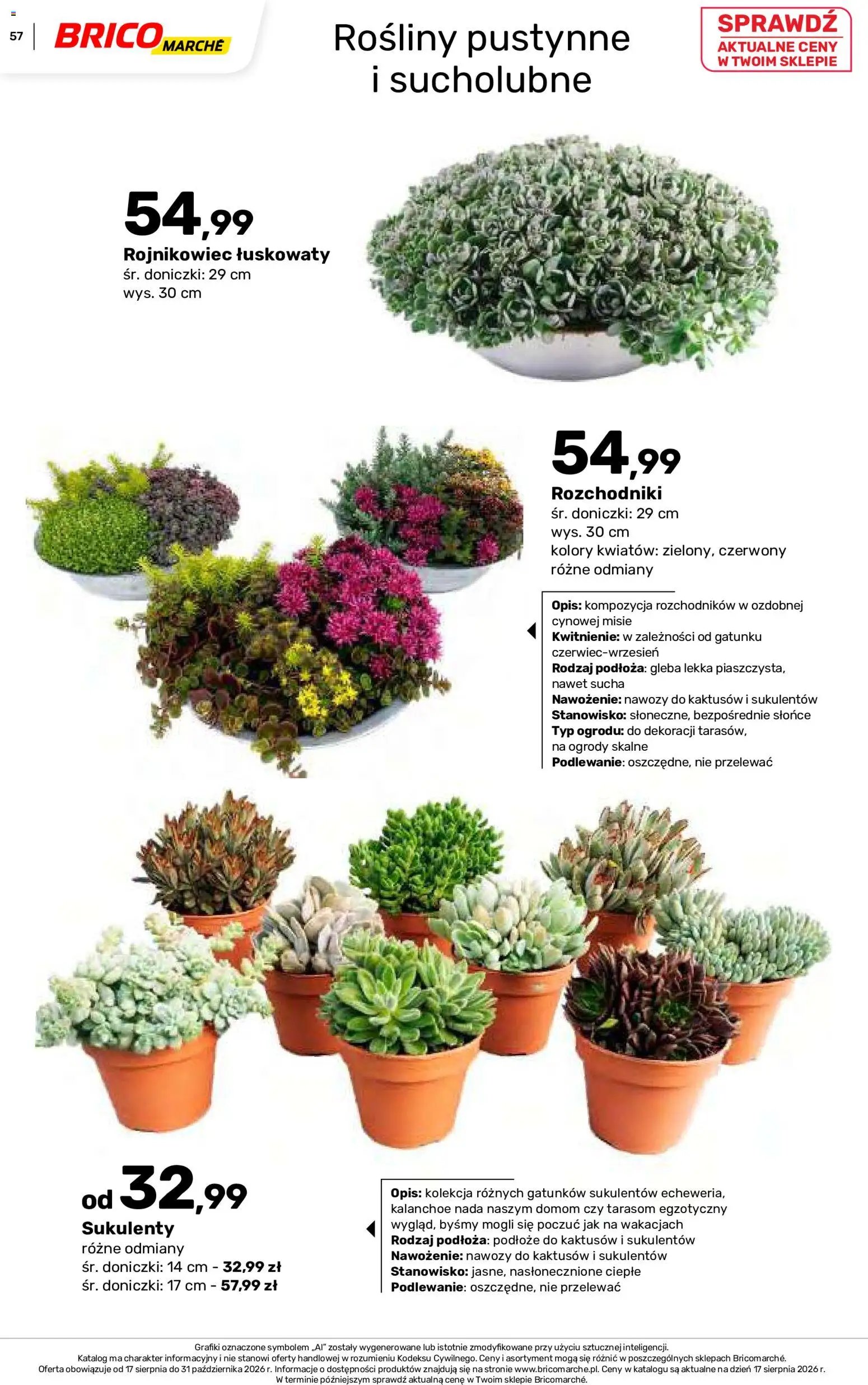 Brico Marché gazetka - Jesienne Inspiracje
