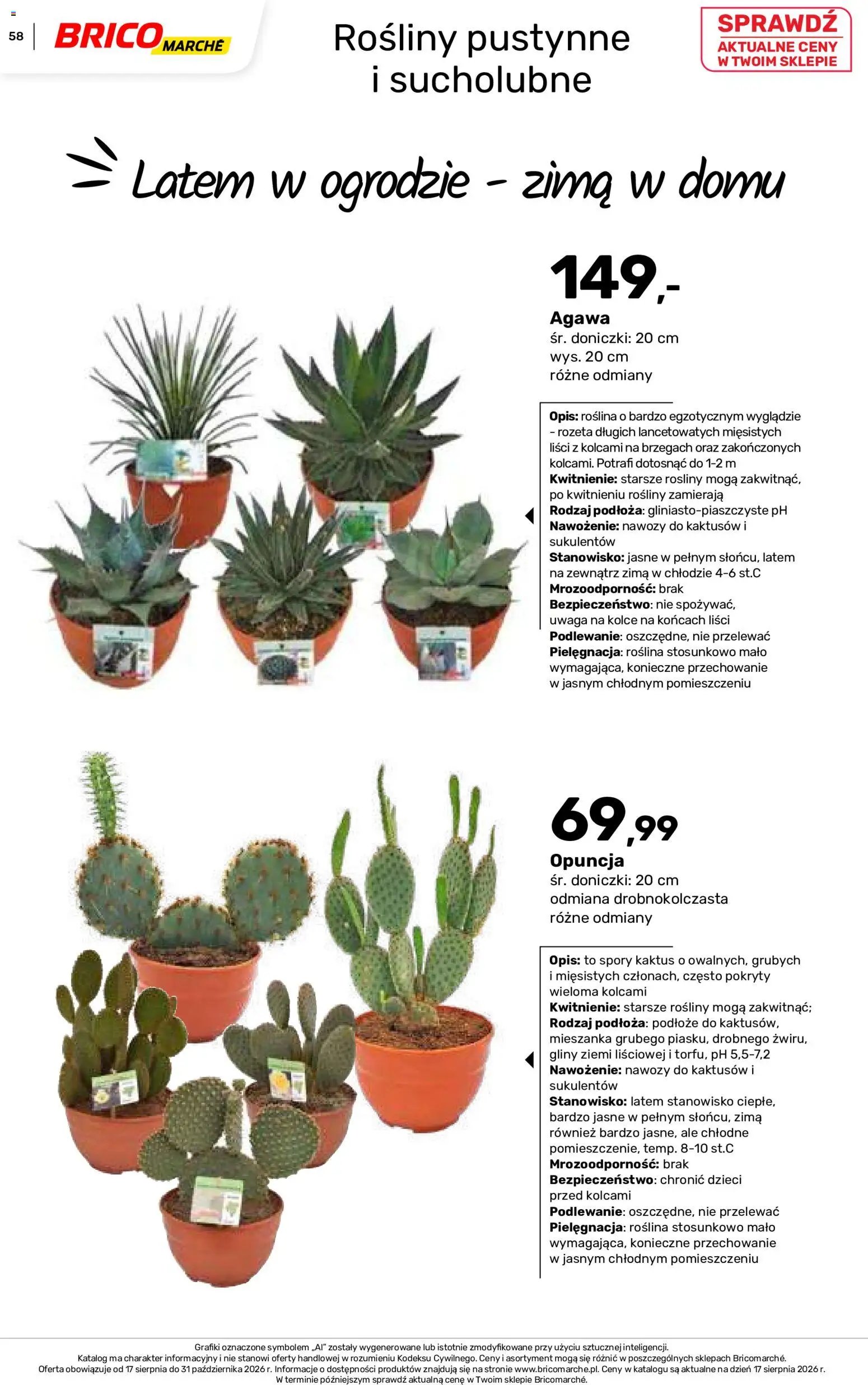 Brico Marché gazetka - Jesienne Inspiracje