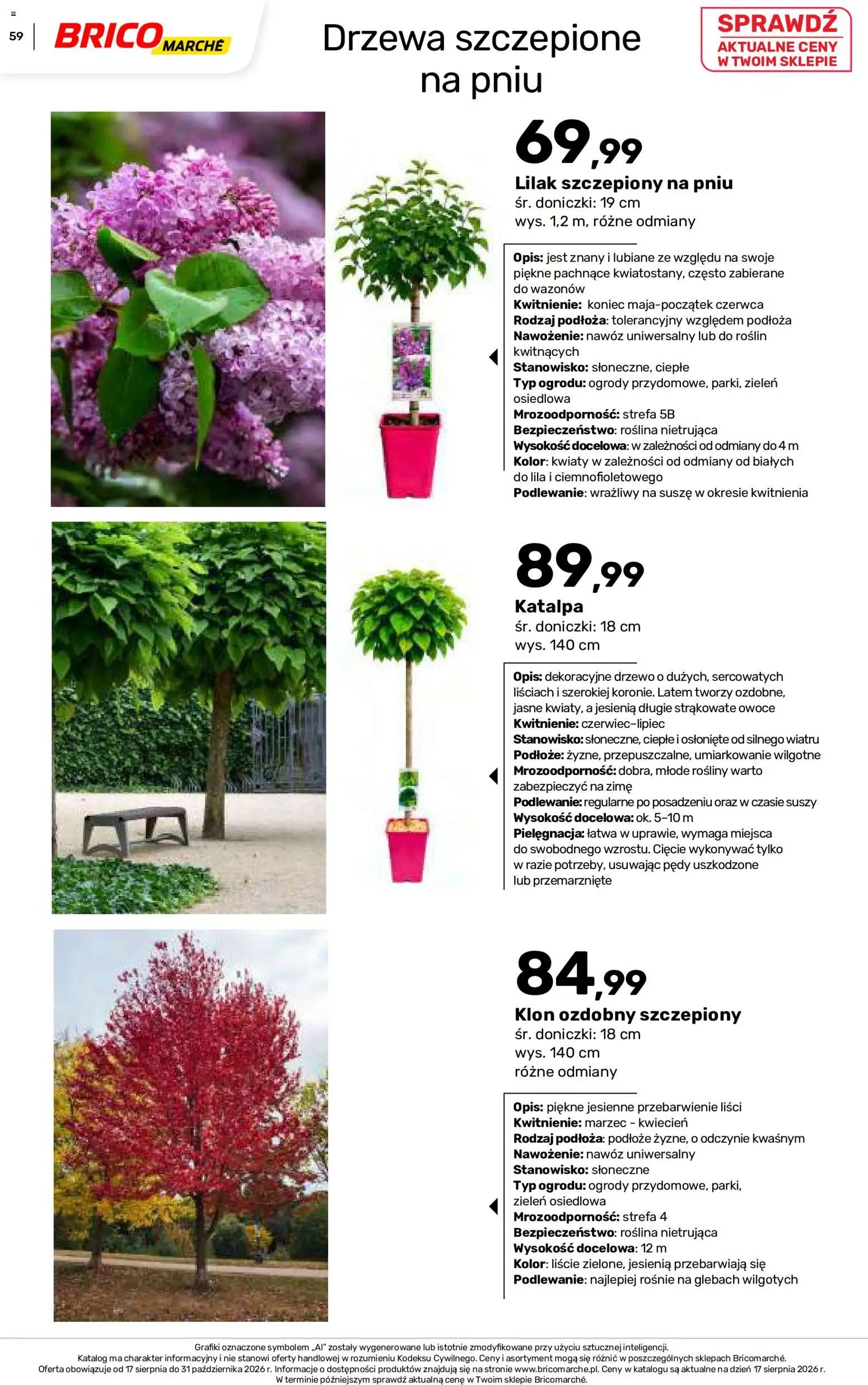 Brico Marché gazetka - Jesienne Inspiracje