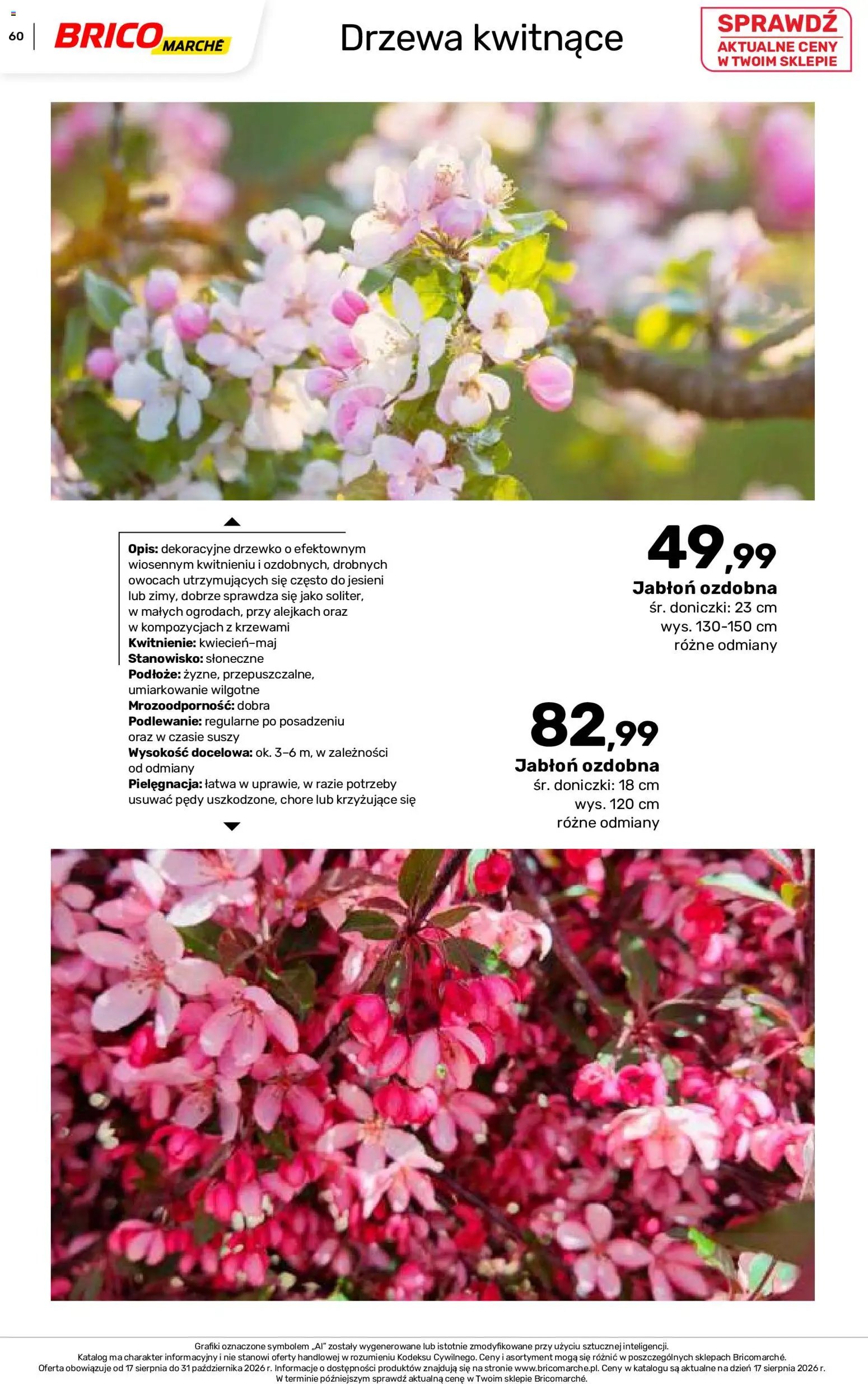Brico Marché gazetka - Jesienne Inspiracje